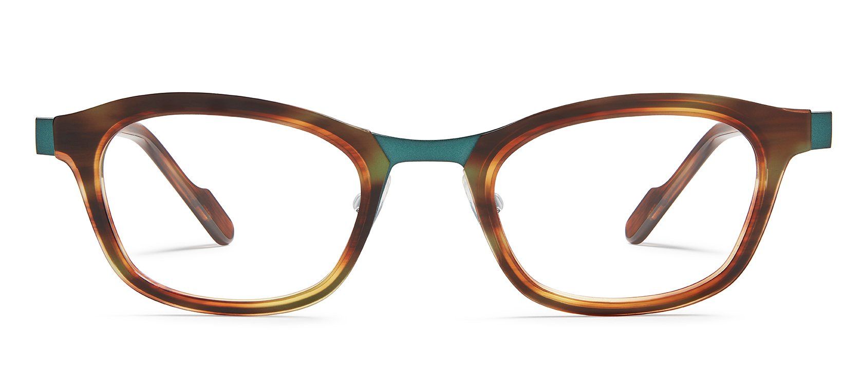 Green / Tortoise
