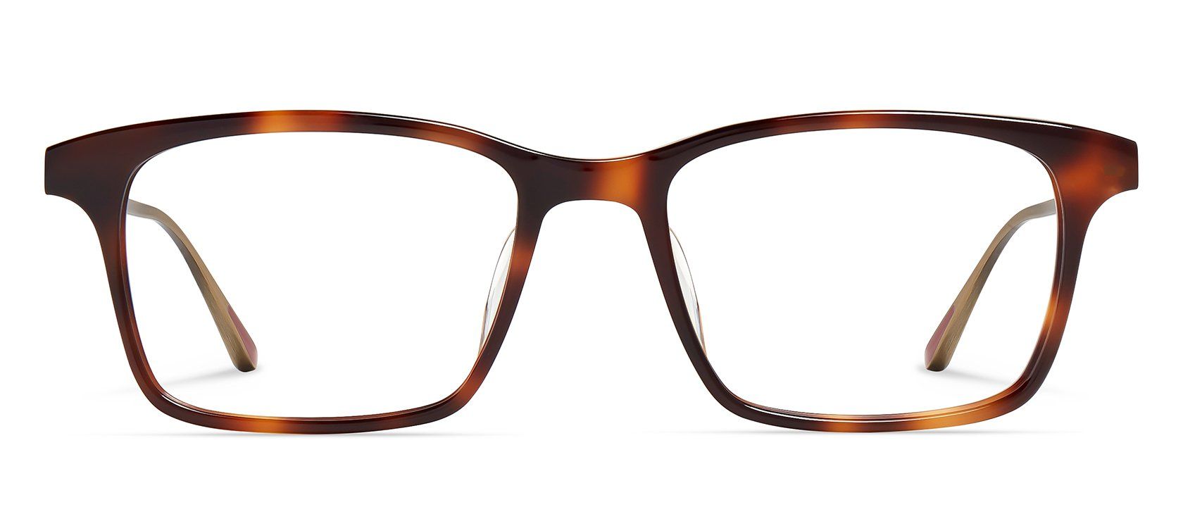 Traditional Tortoise / Antique Gold