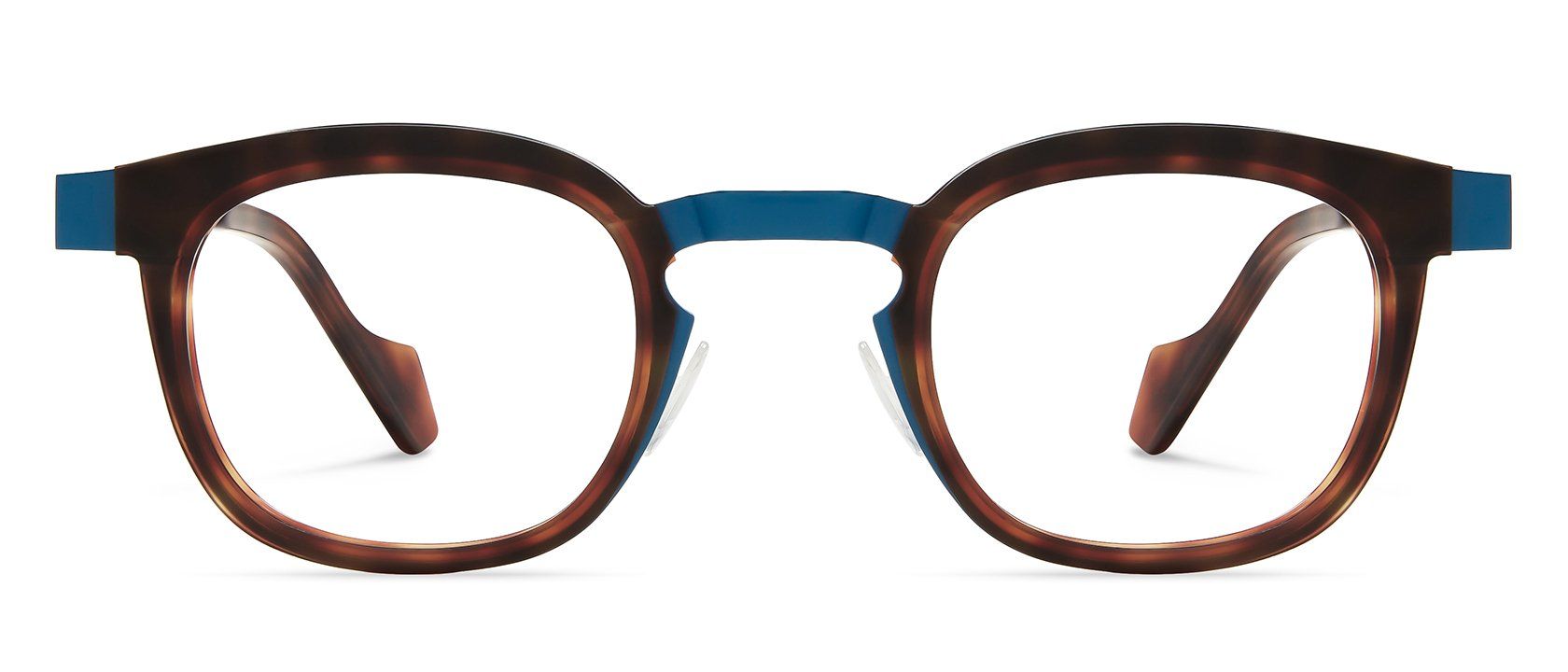 Blue / Tortoise