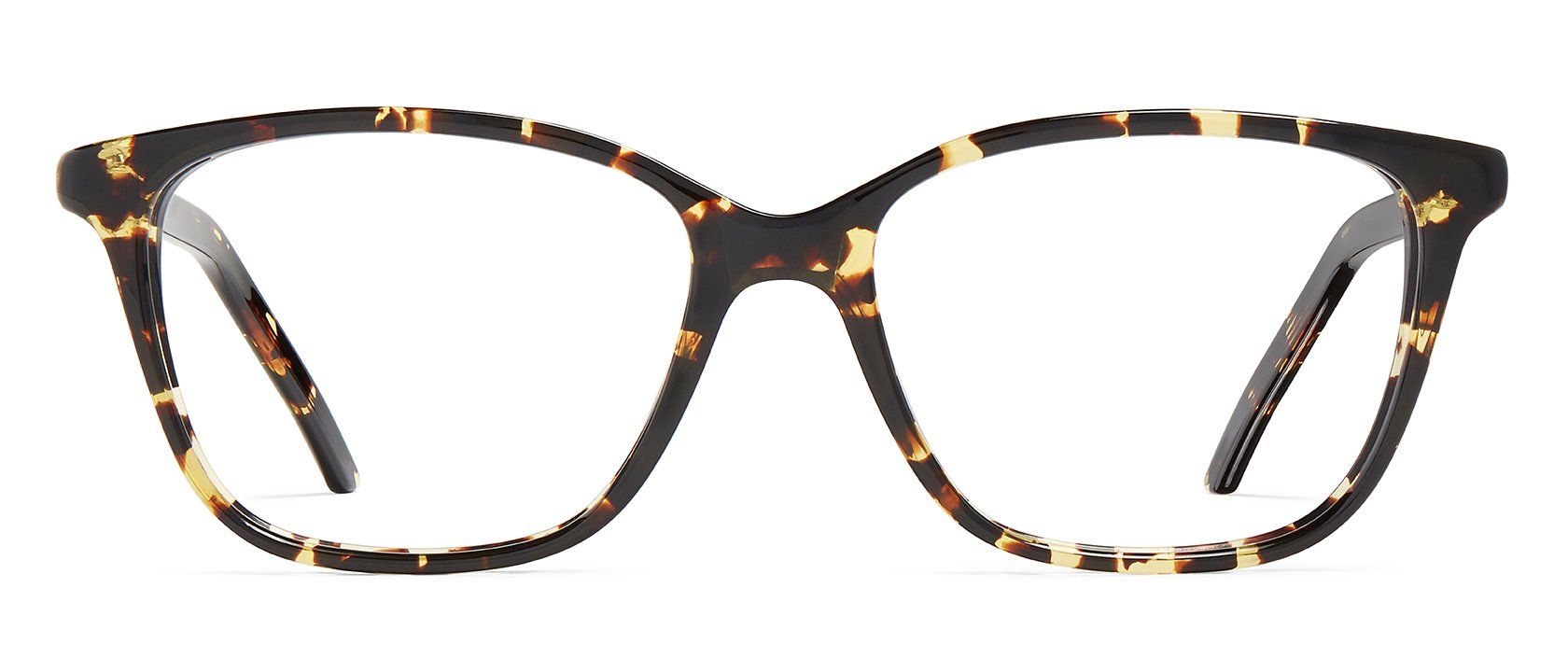 Tokyo Tortoise