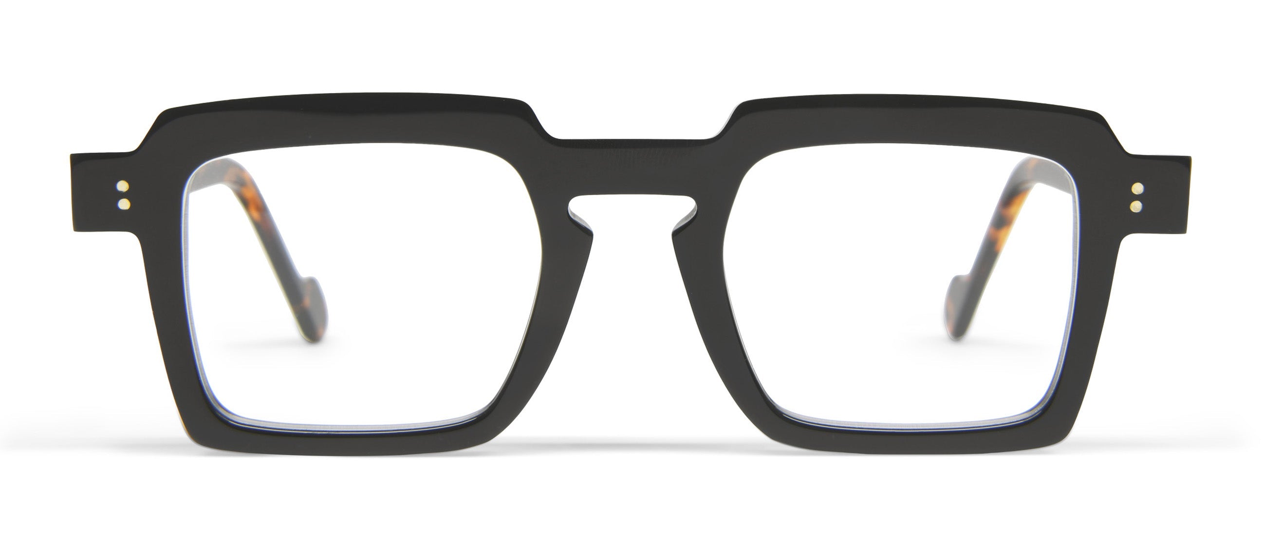 Matte Black / Tortoise