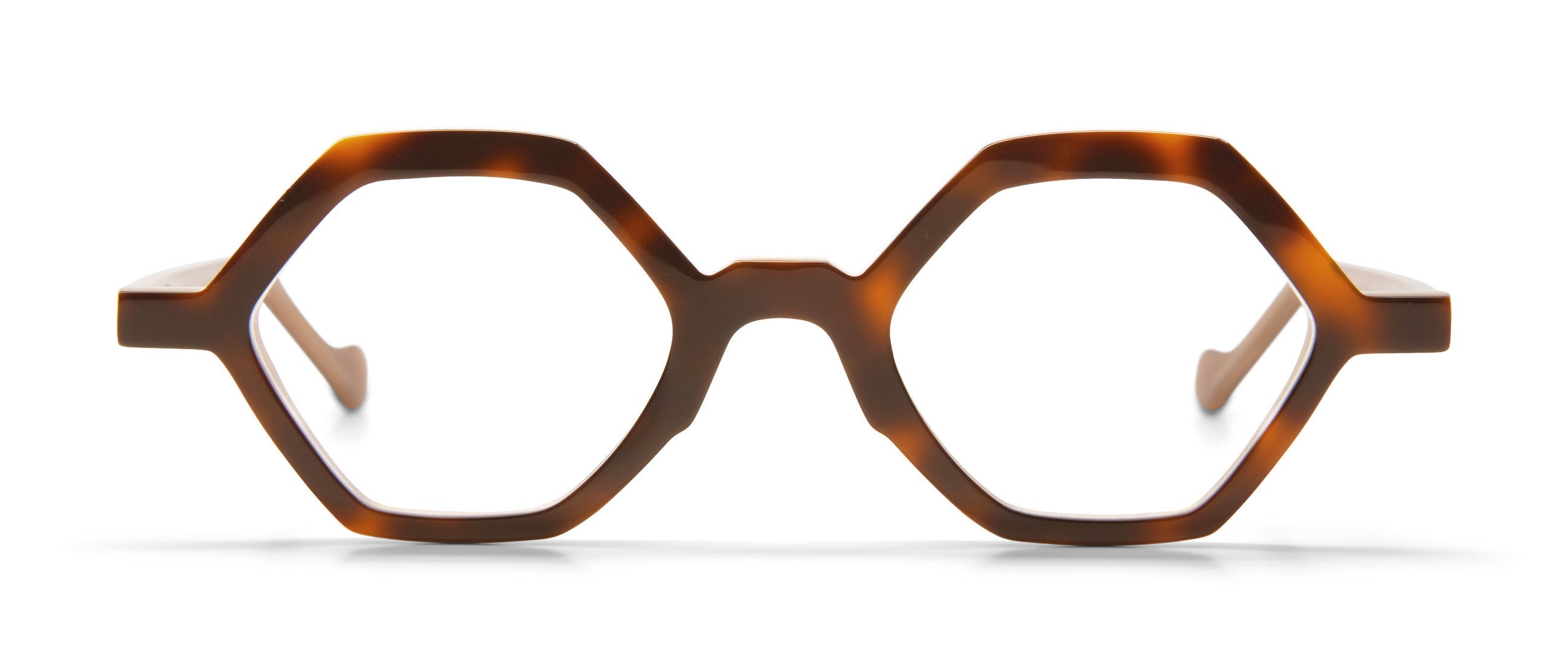 Tortoise / Brown