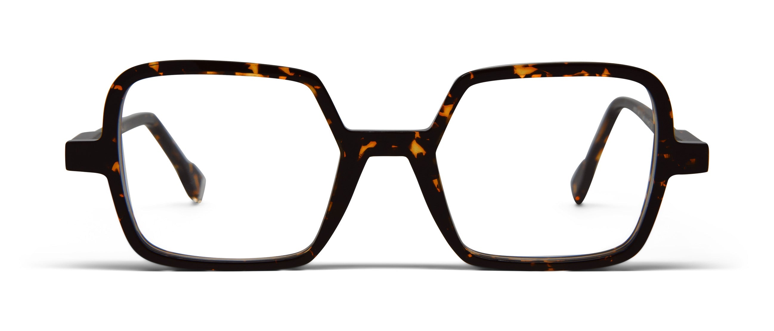 Dark Tortoise