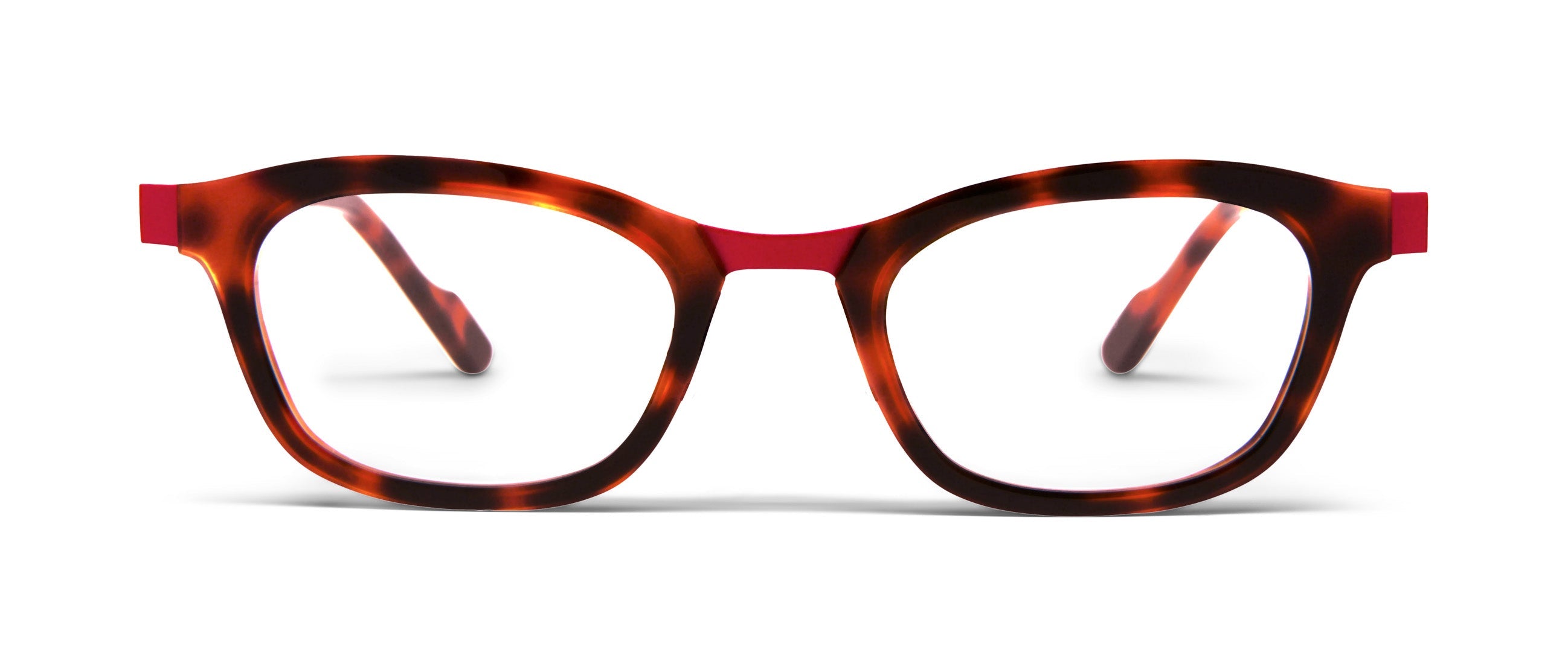 Tortoise / Red