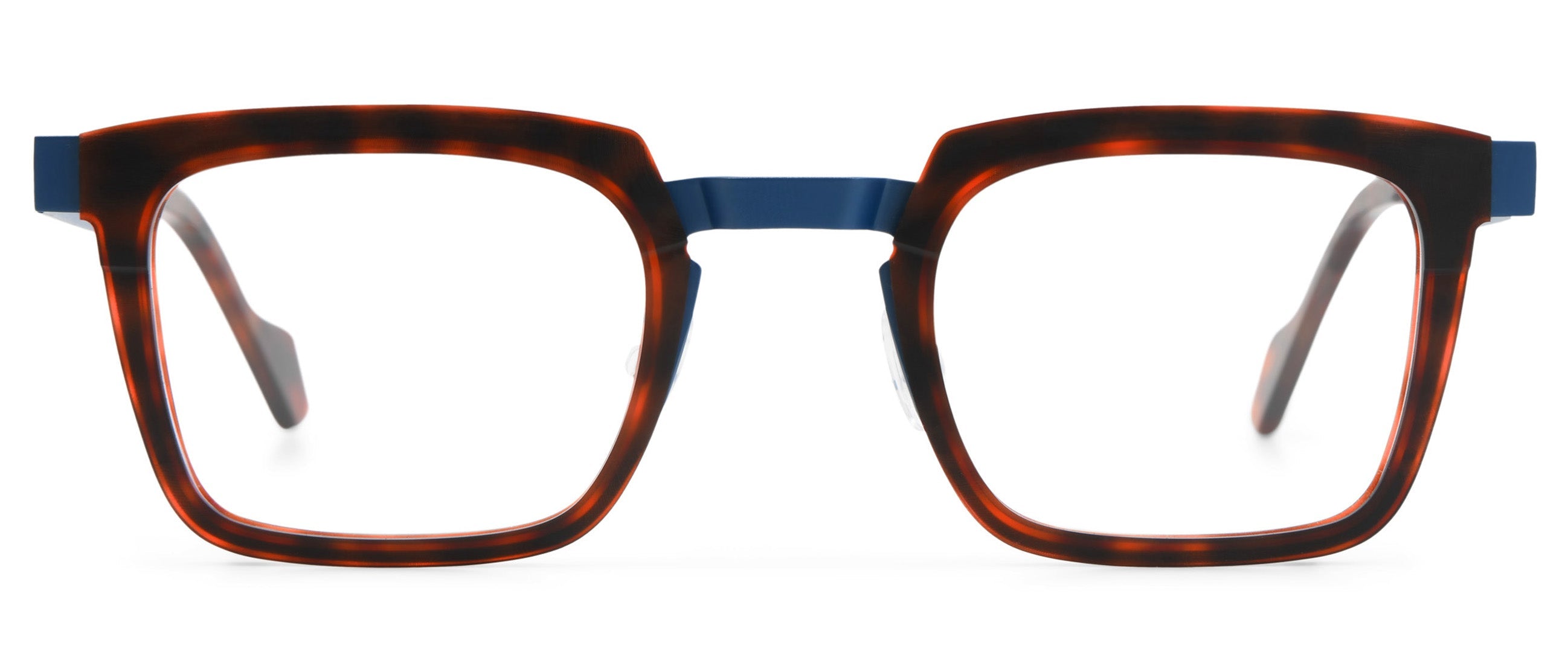 Tortoise / Blue