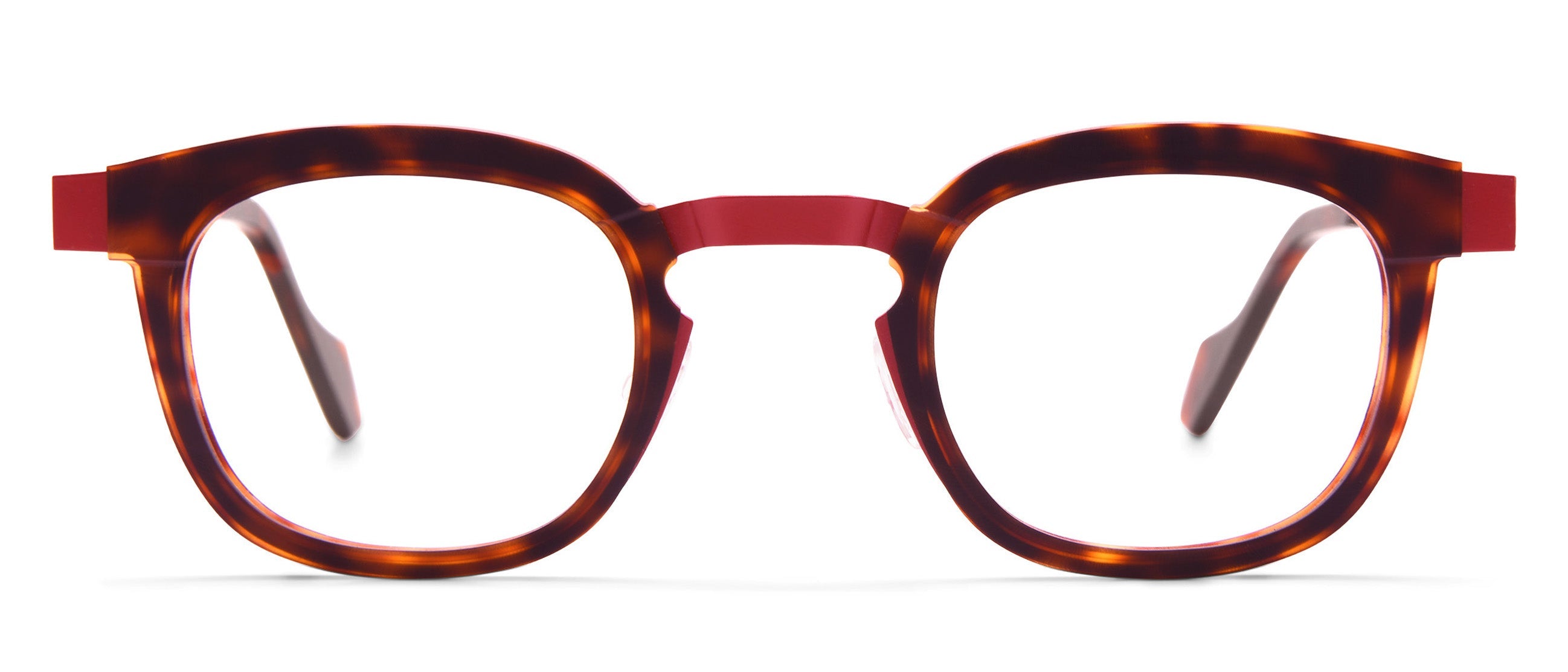 Brown Tortoise / Red