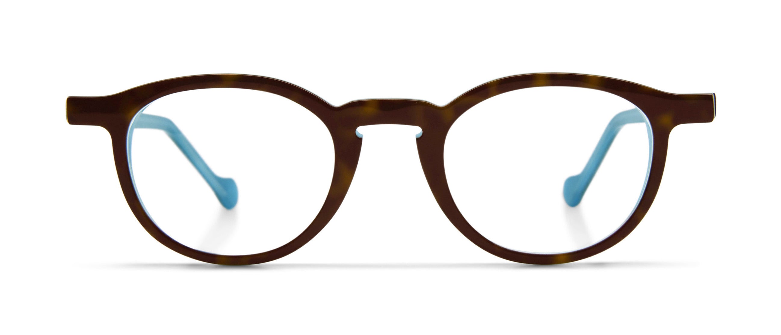 Spotted Tortoise / Blue