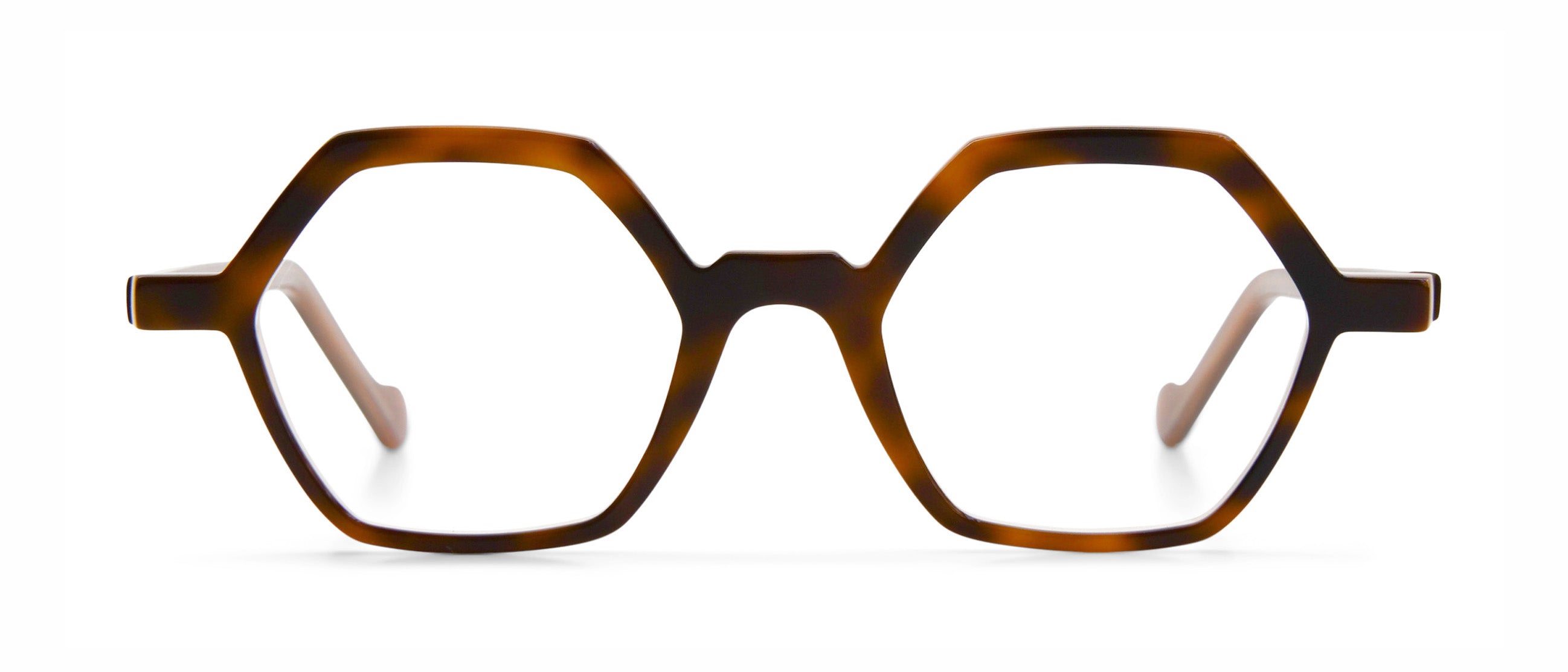 Tortoise / Brown