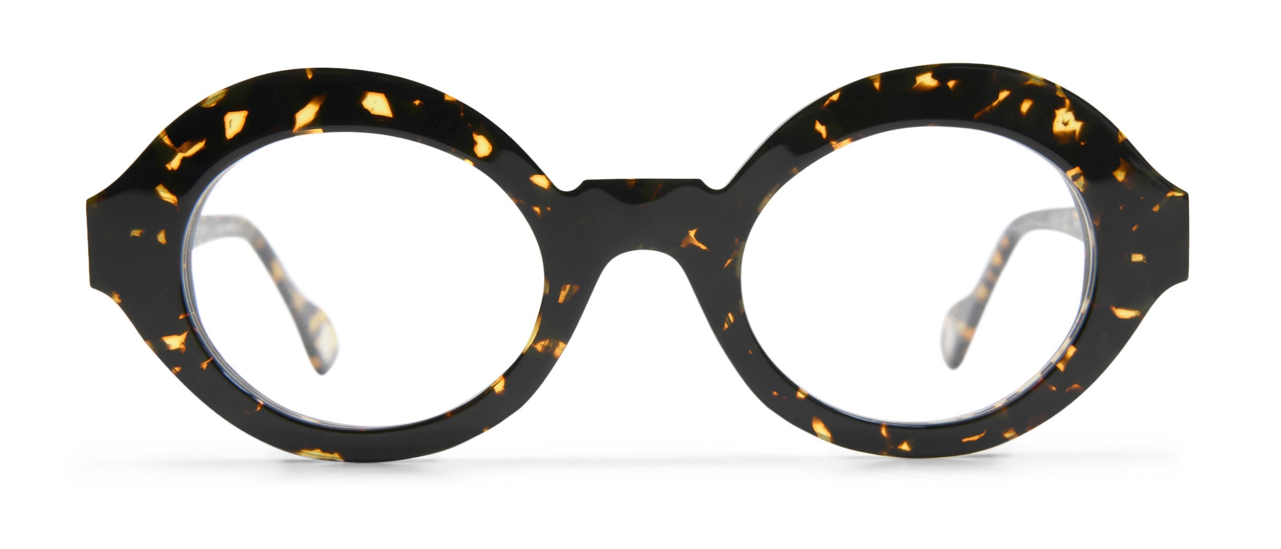 Tokyo Tortoise
