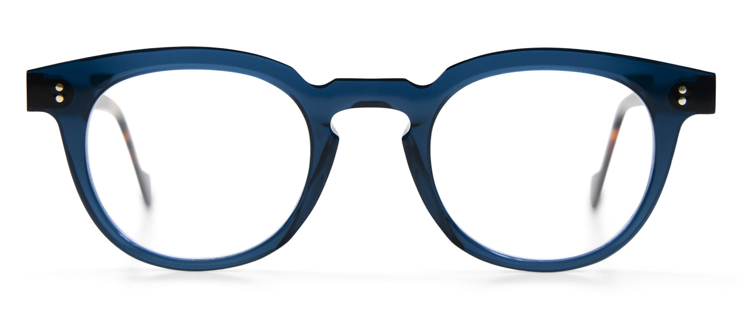 Dark Teal / Tortoise