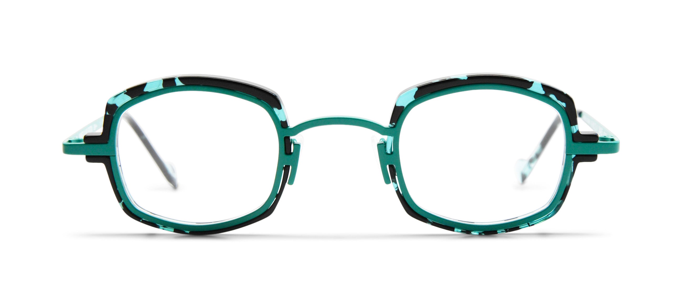 Green Tortoise / Green