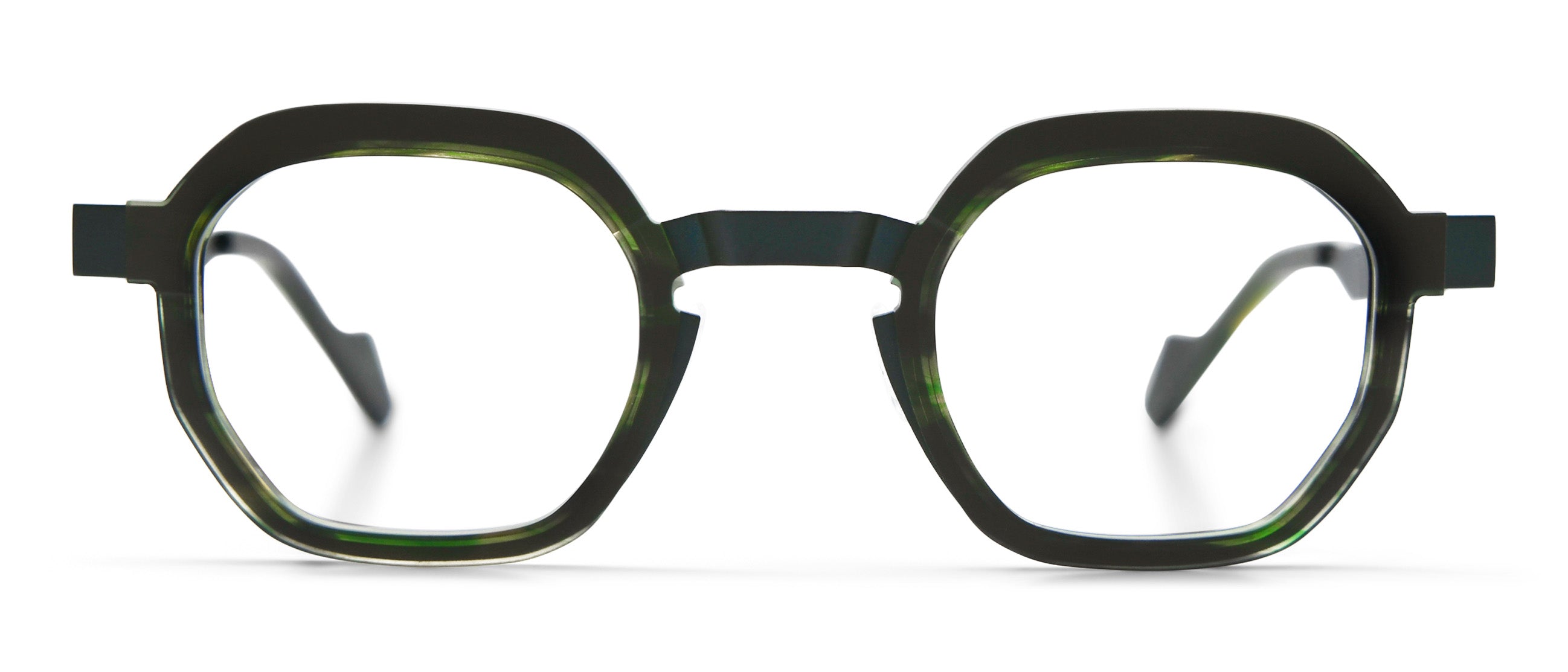 Green Tortoise / Navy