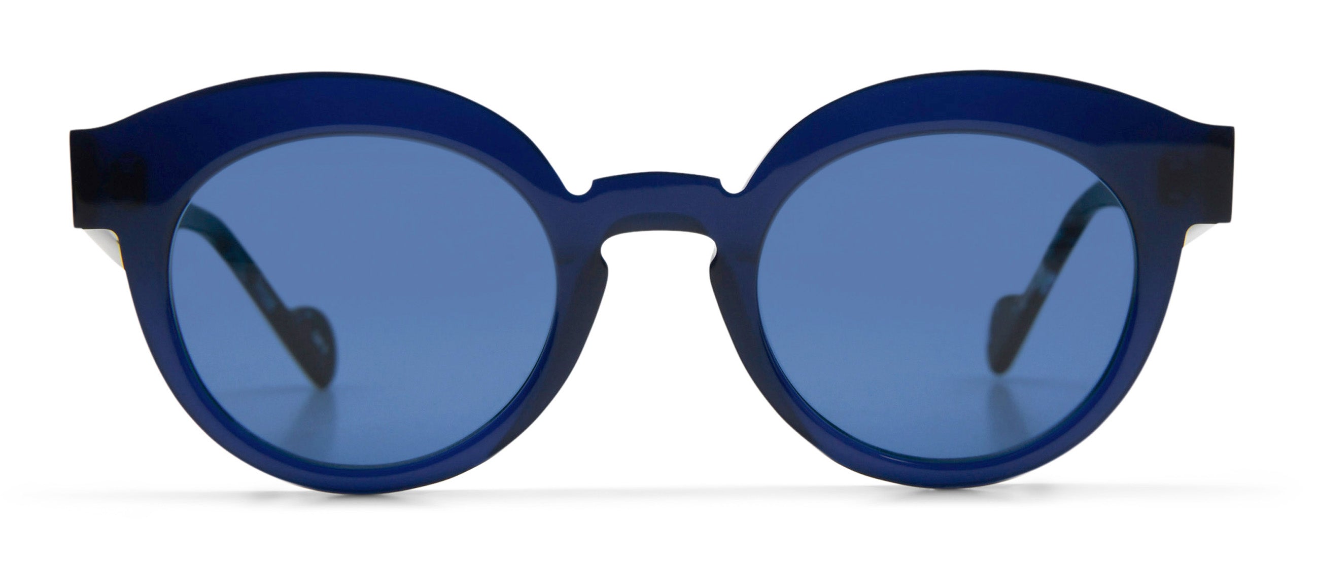 Navy / Blue Tortoise