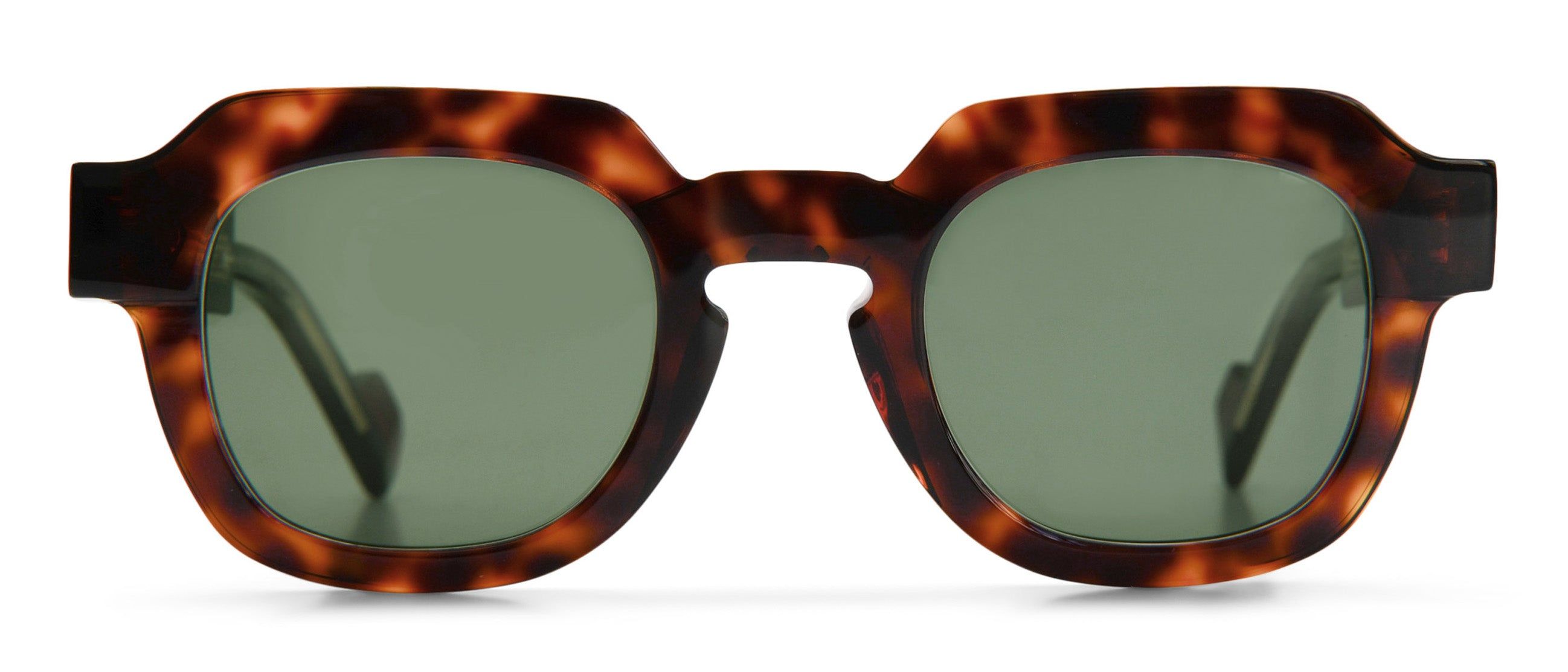 Tortoise / Black