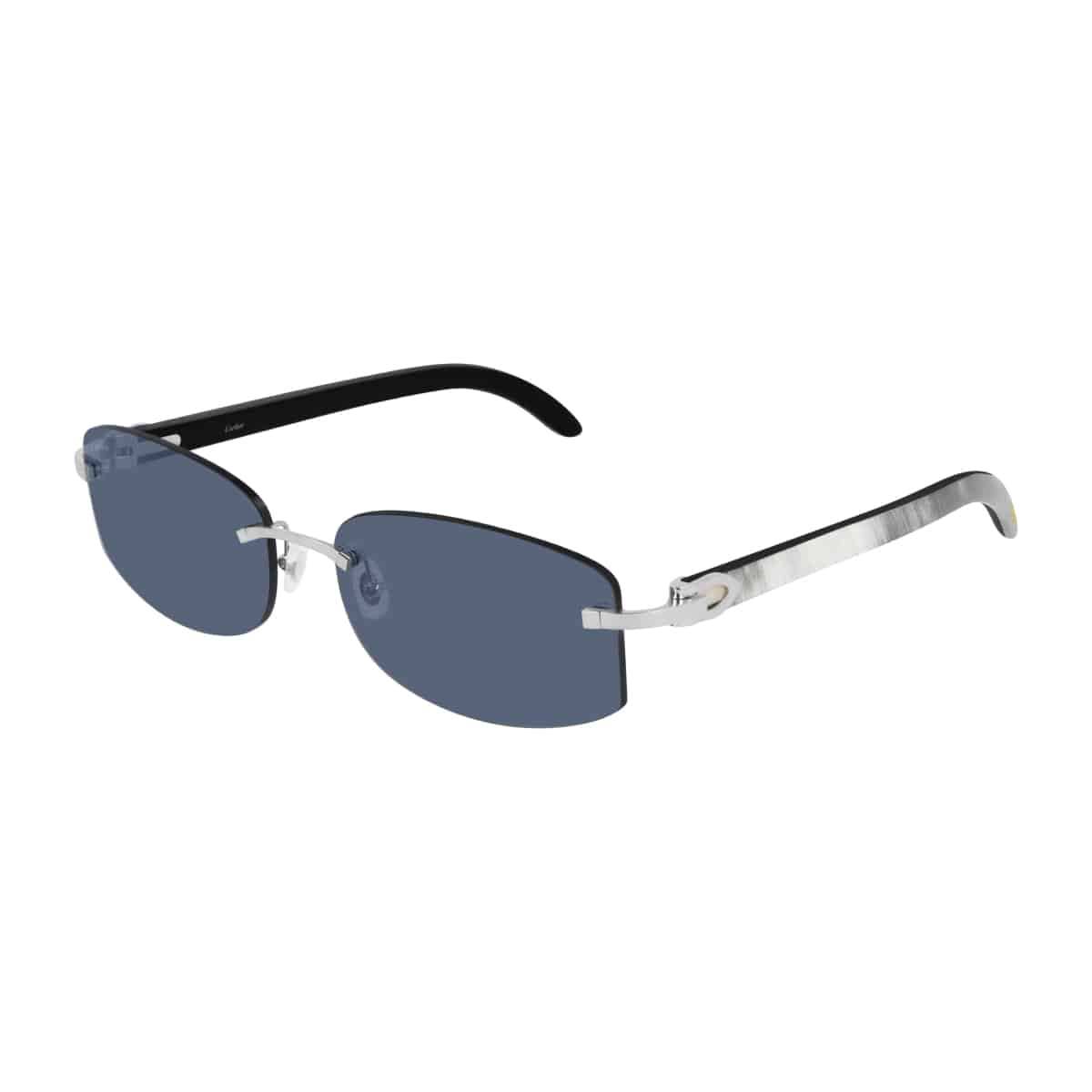 Cartier CT0031RS Sunglassesframe