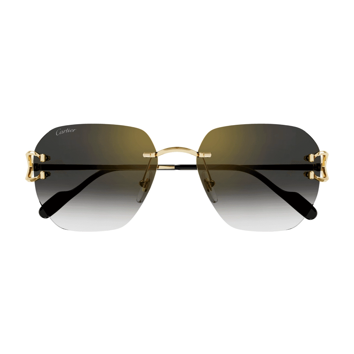 Cartier CT0394S Sunglassesframe