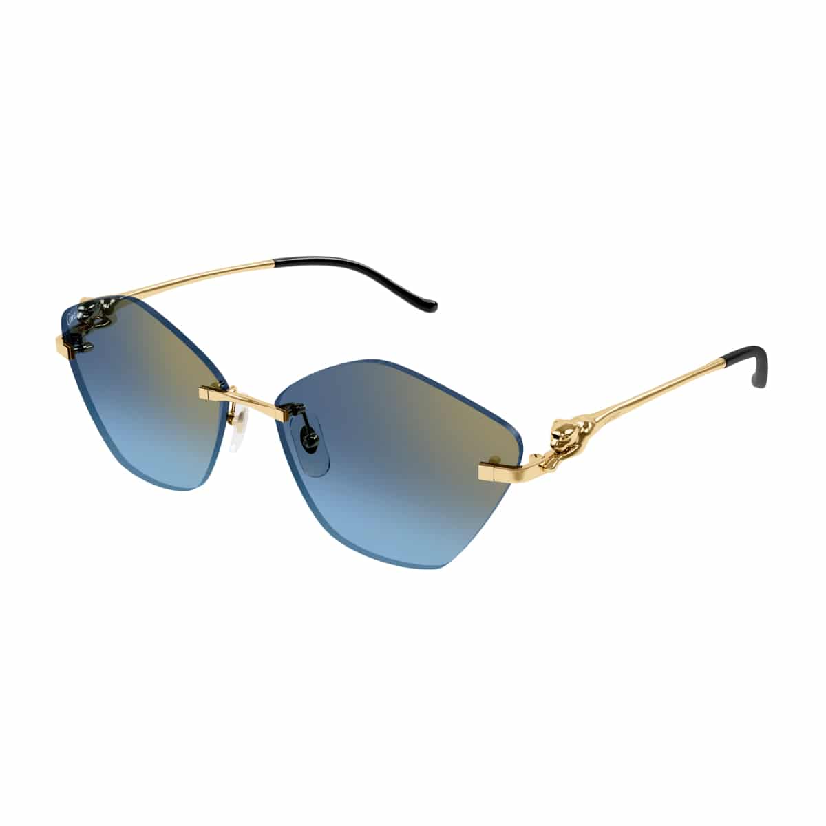 Cartier CT0429S Sunglassesframe