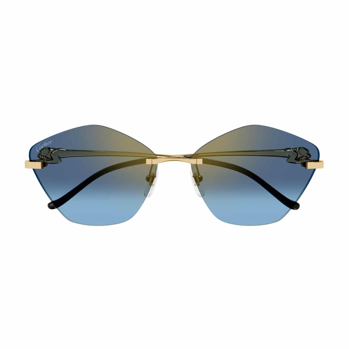 Cartier CT0429S Sunglassesframe