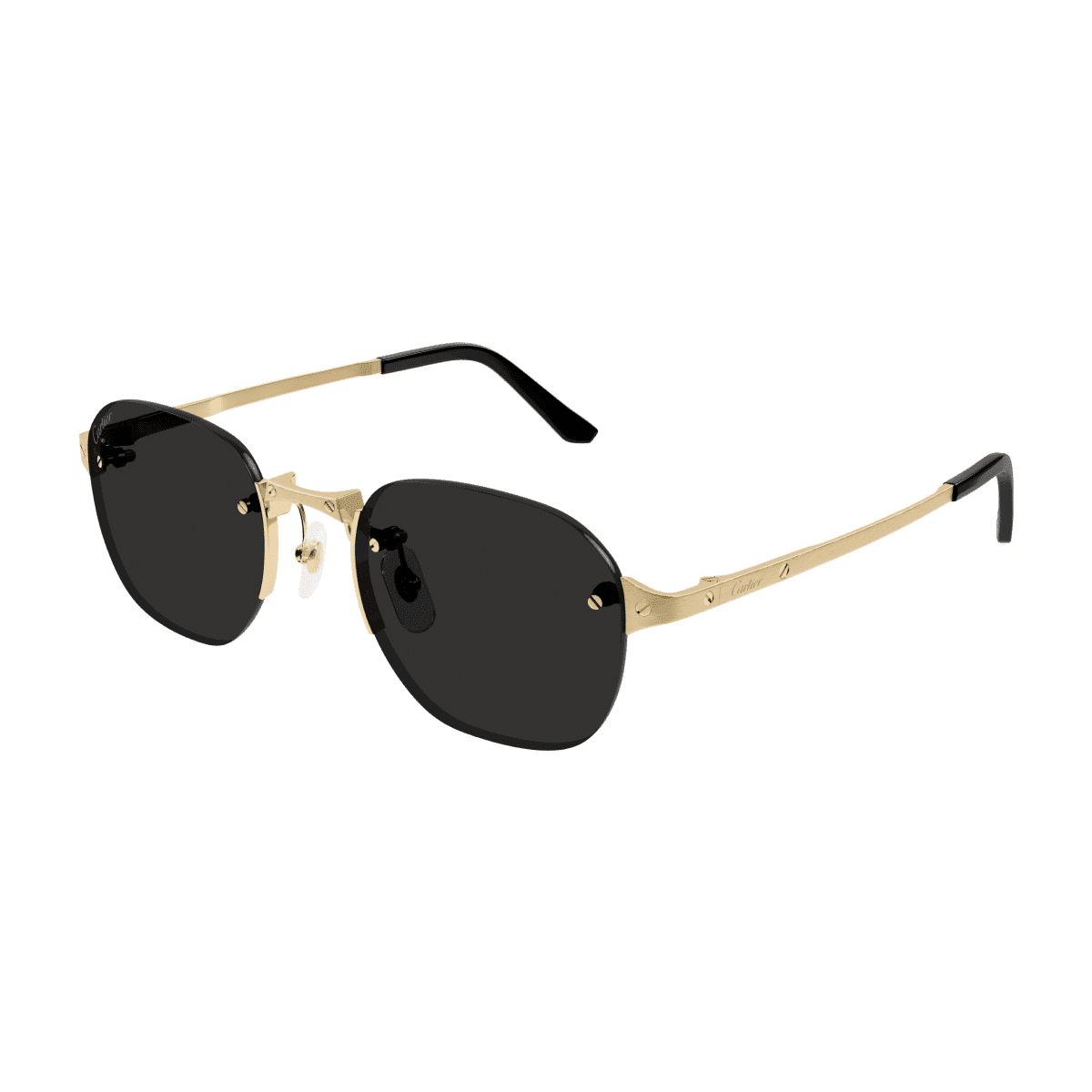 Cartier CT0459S Sunglassesframe