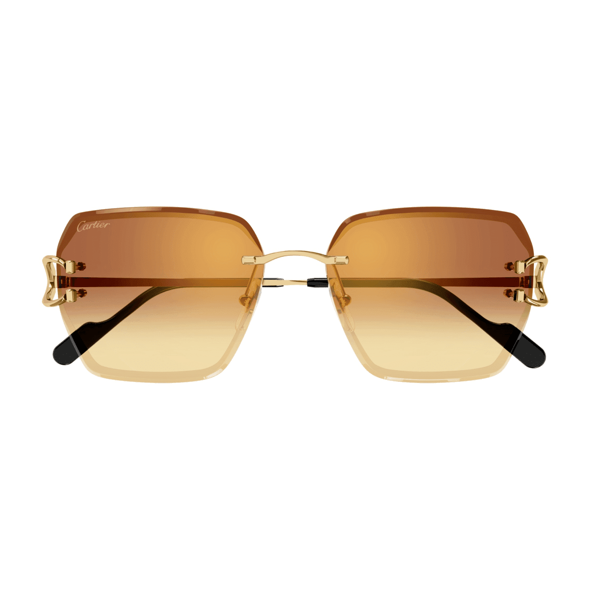 Cartier CT0466S Sunglassesframe