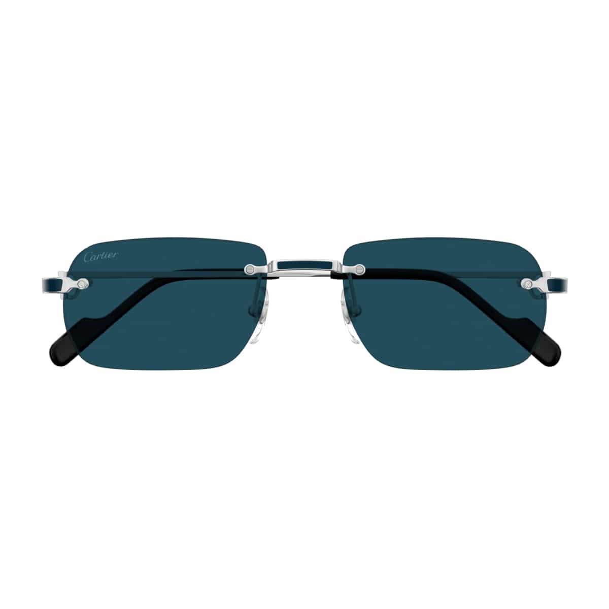 Cartier CT0498S Sunglassesframe