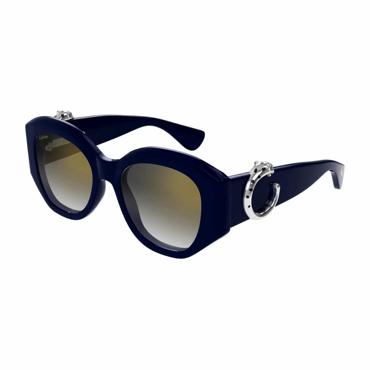 Cartier CT0502S Sunglassesframe