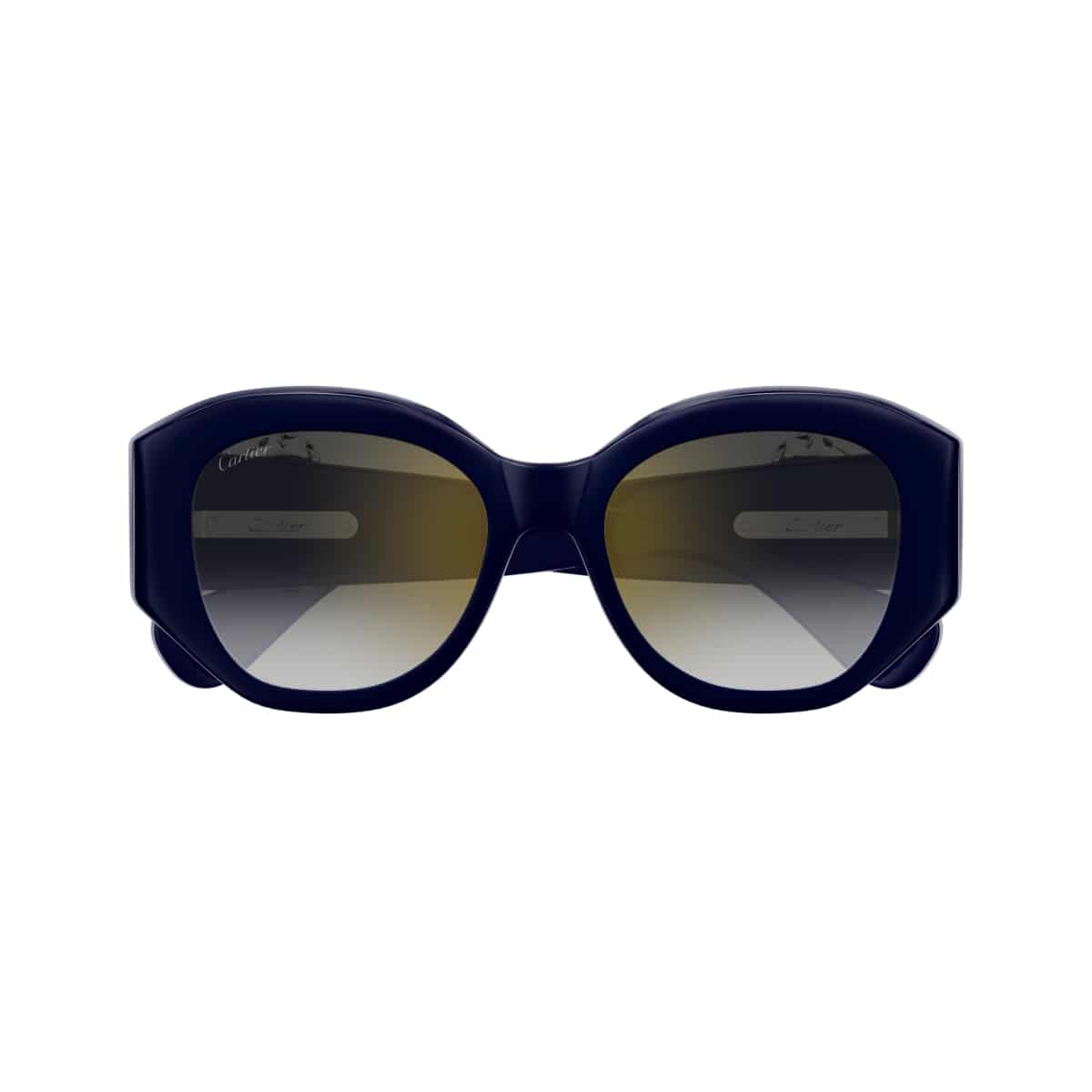 Cartier CT0502S Sunglassesframe