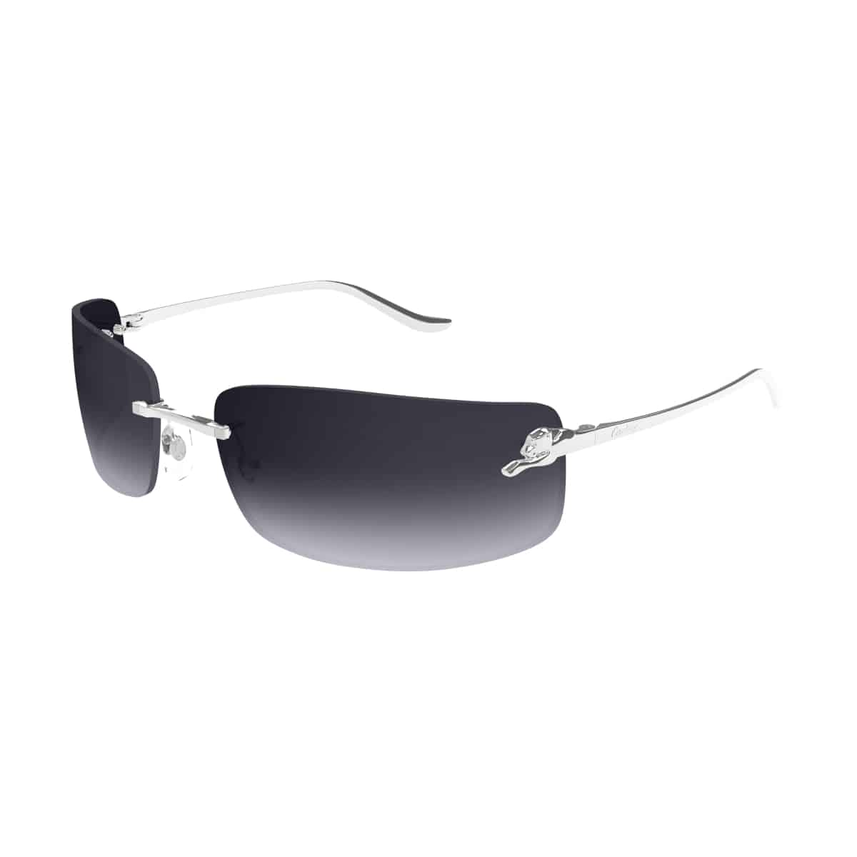 Cartier CT0503S Sunglassesframe