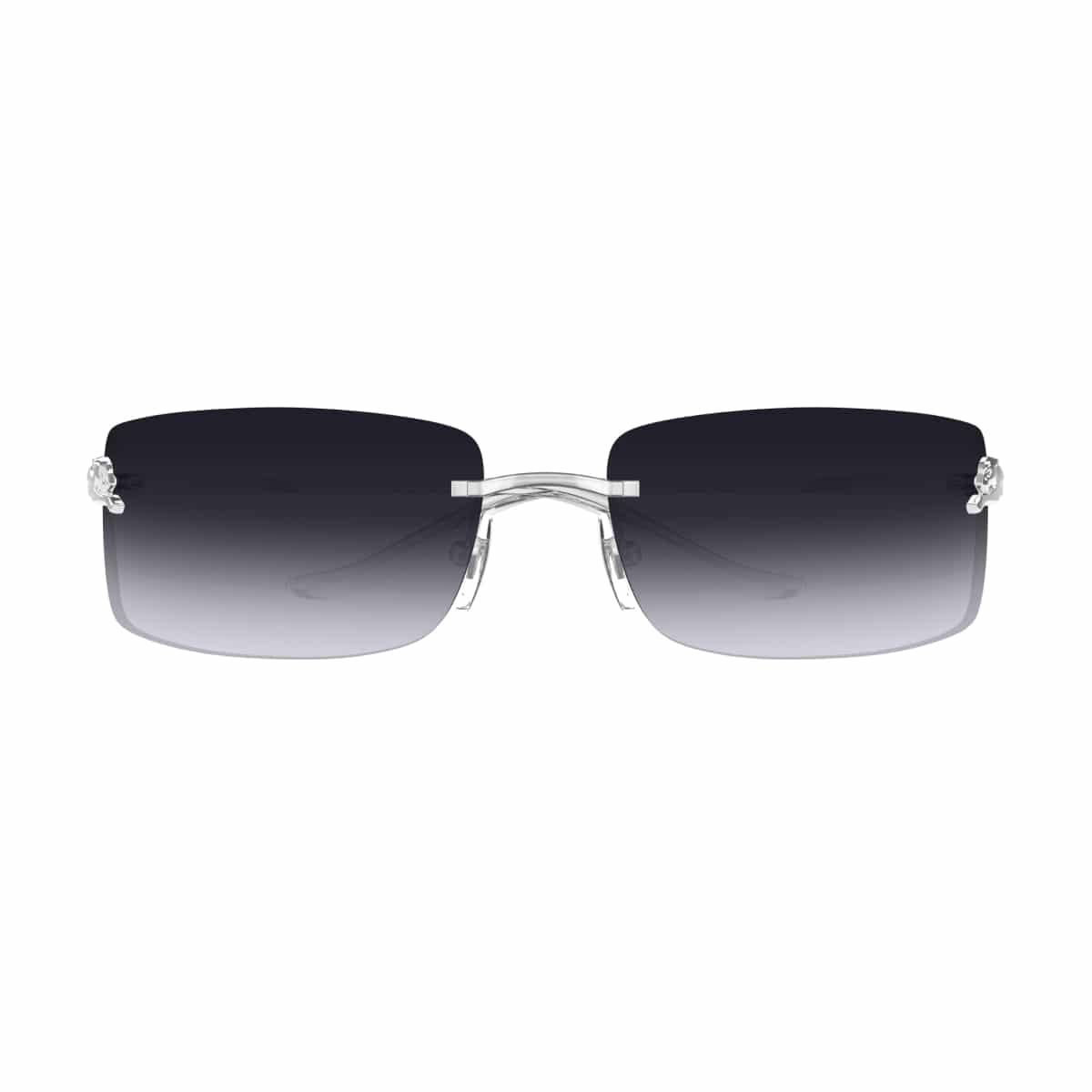 Cartier CT0503S Sunglassesframe