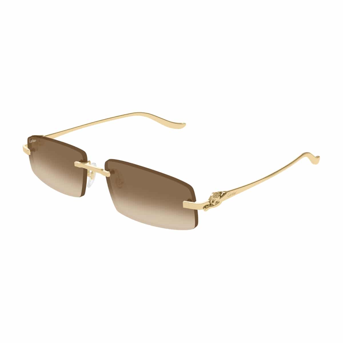 Cartier CT0505S Sunglassesframe