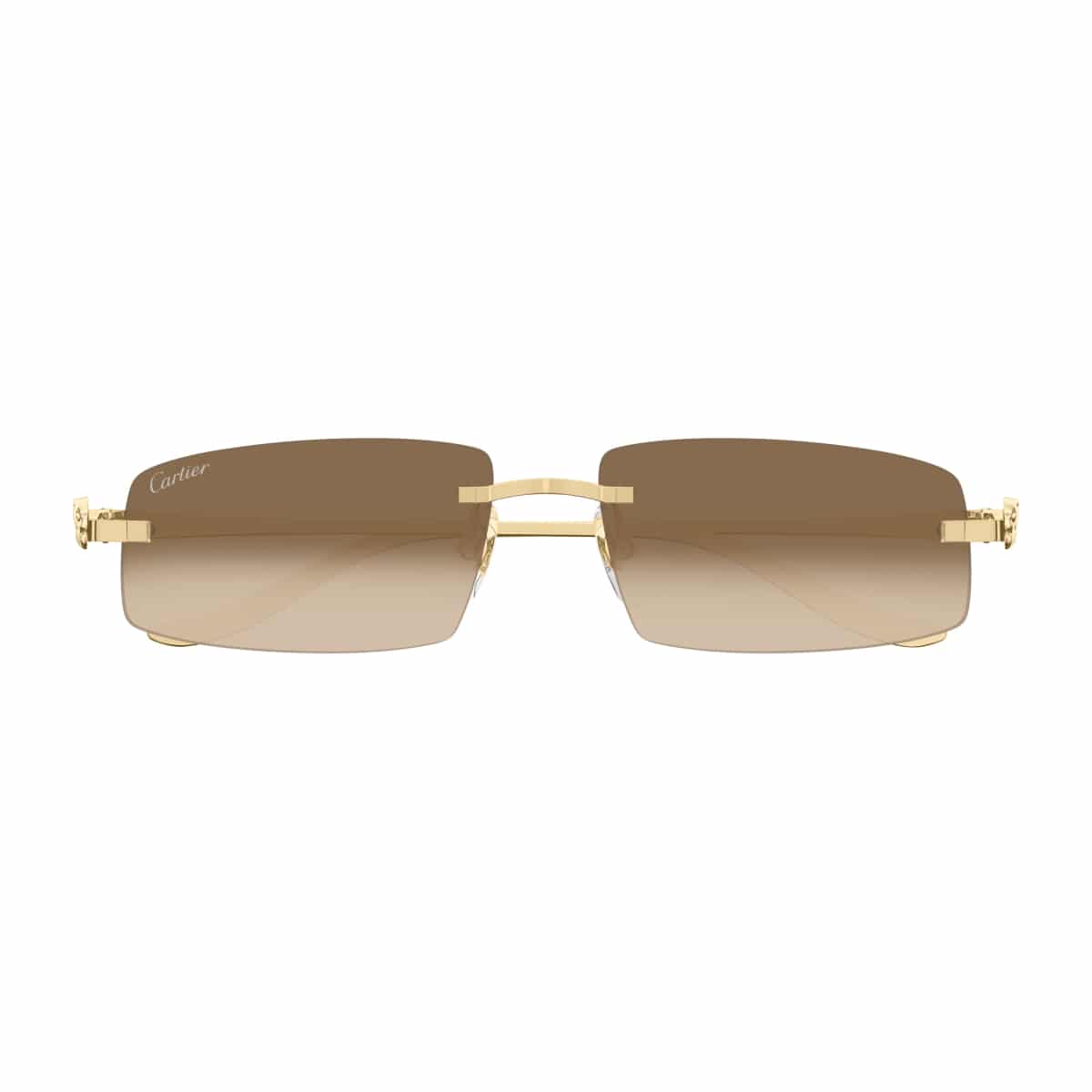 Cartier CT0505S Sunglassesframe