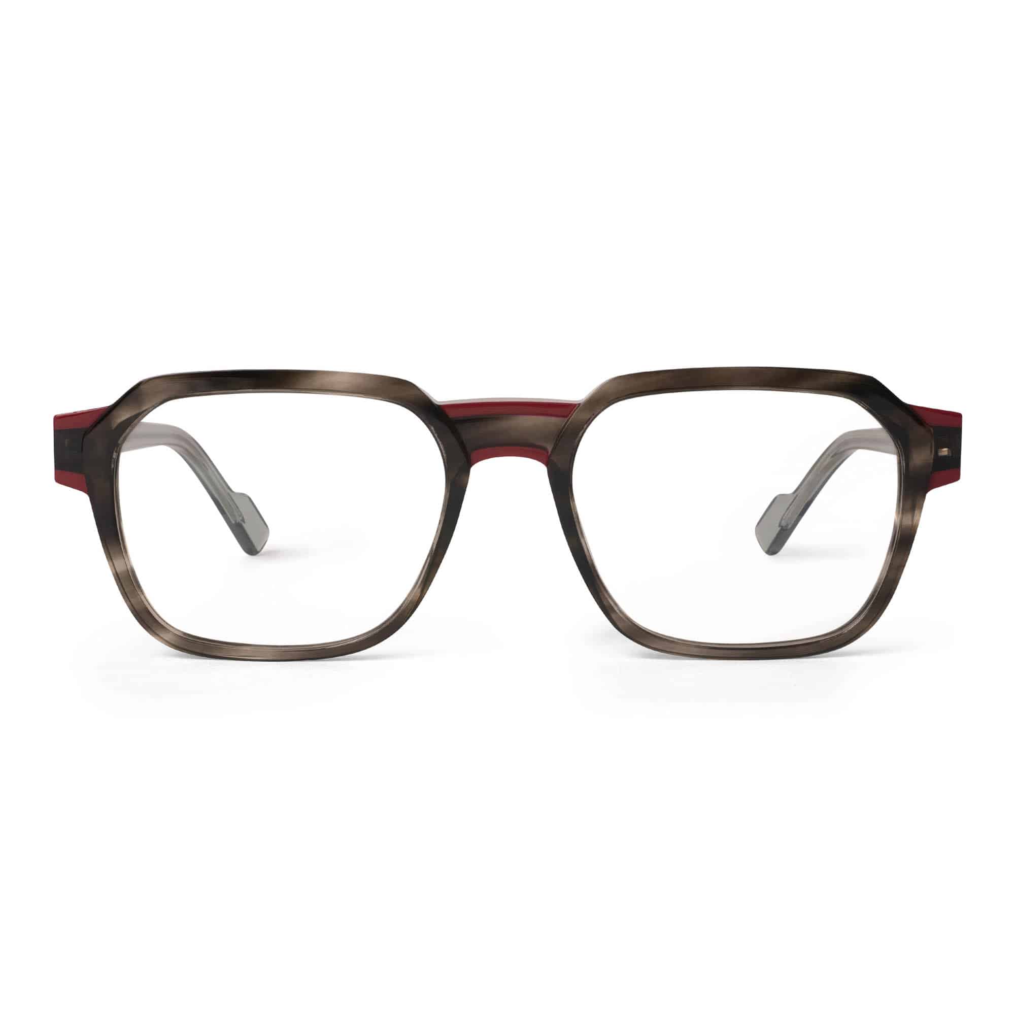 GREY TRANSPARENT TORTOISE