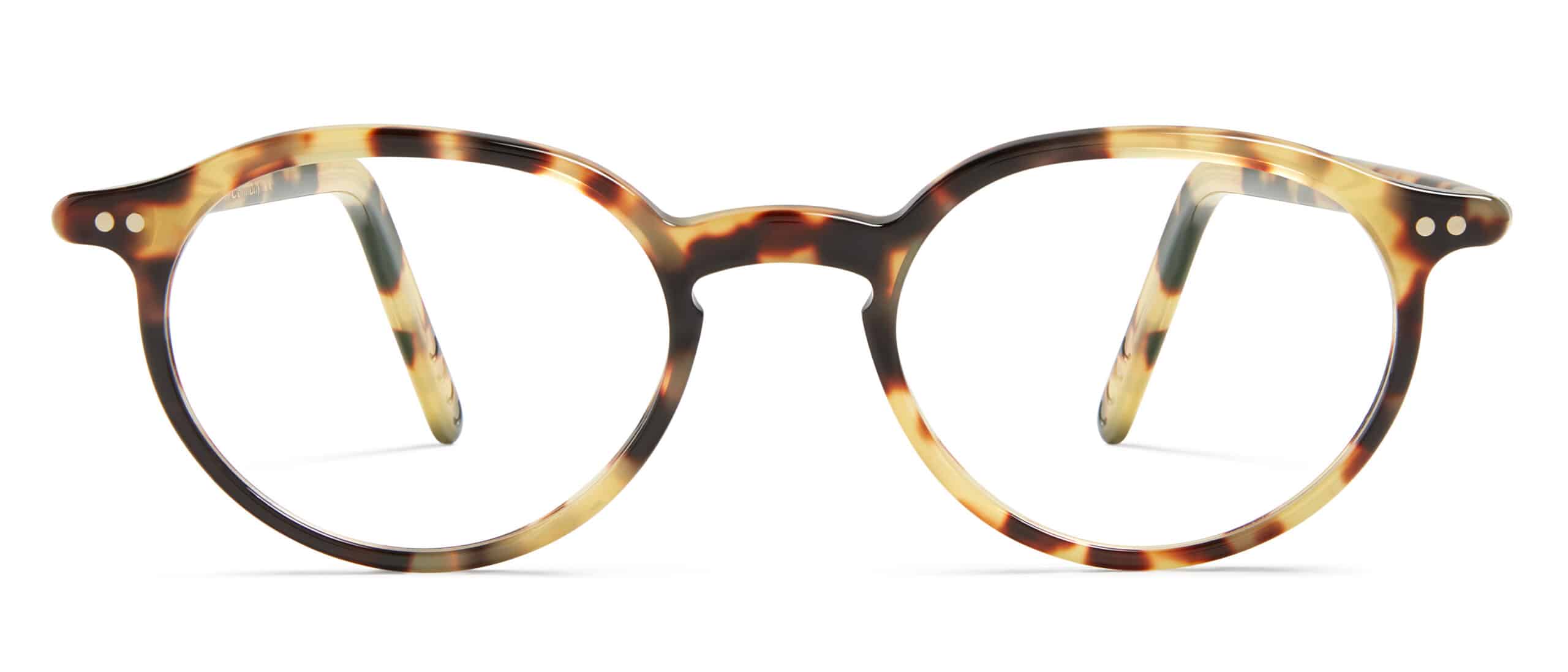 Tokyo Tortoise