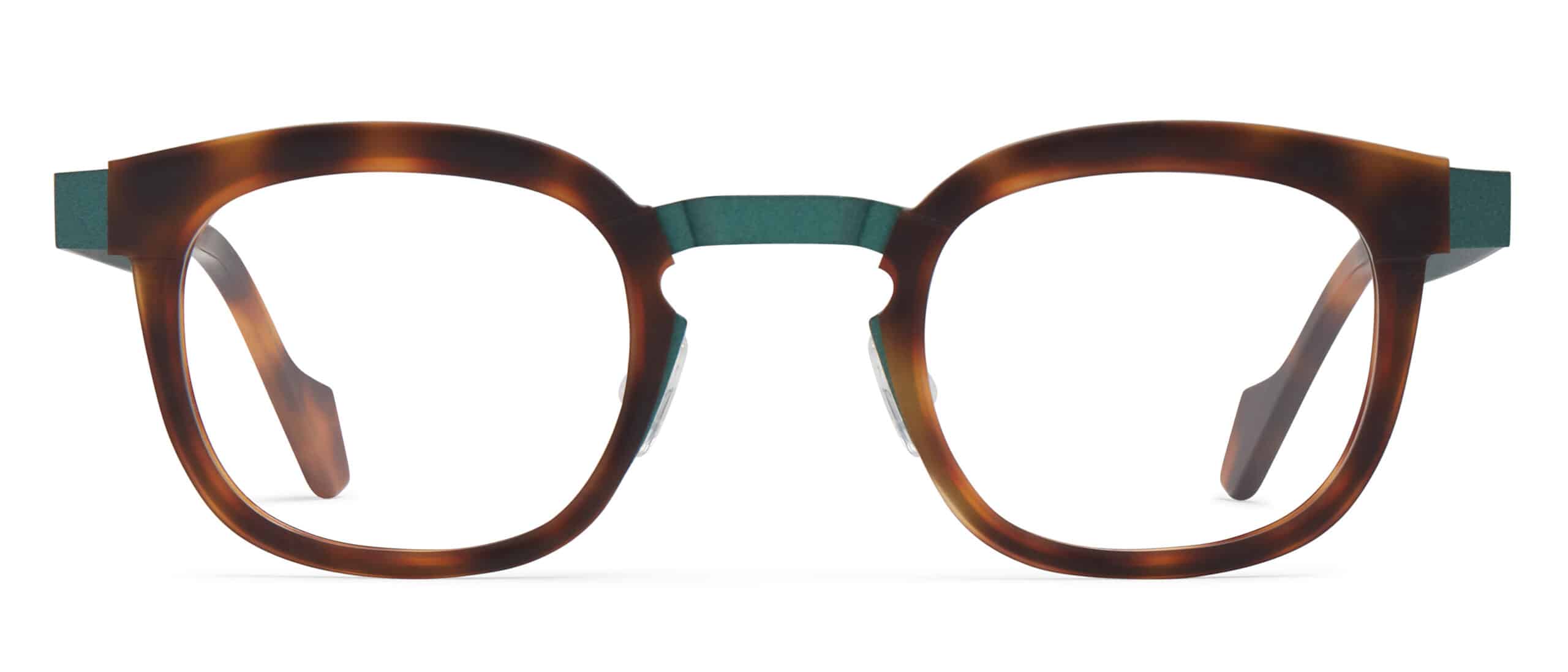 Green / Tortoise