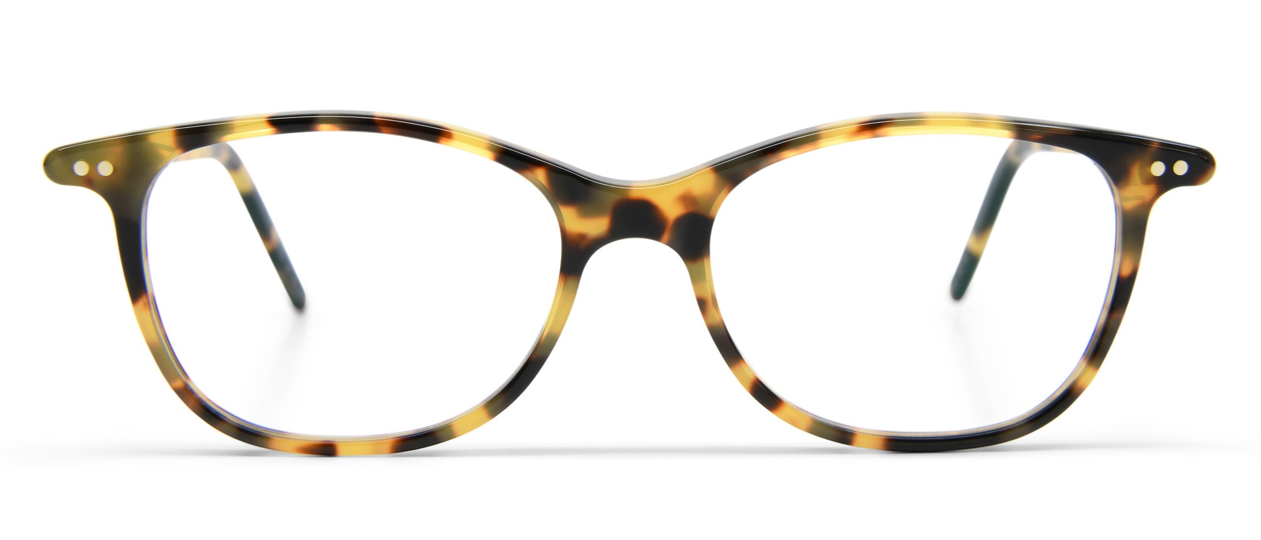 Tokyo Tortoise