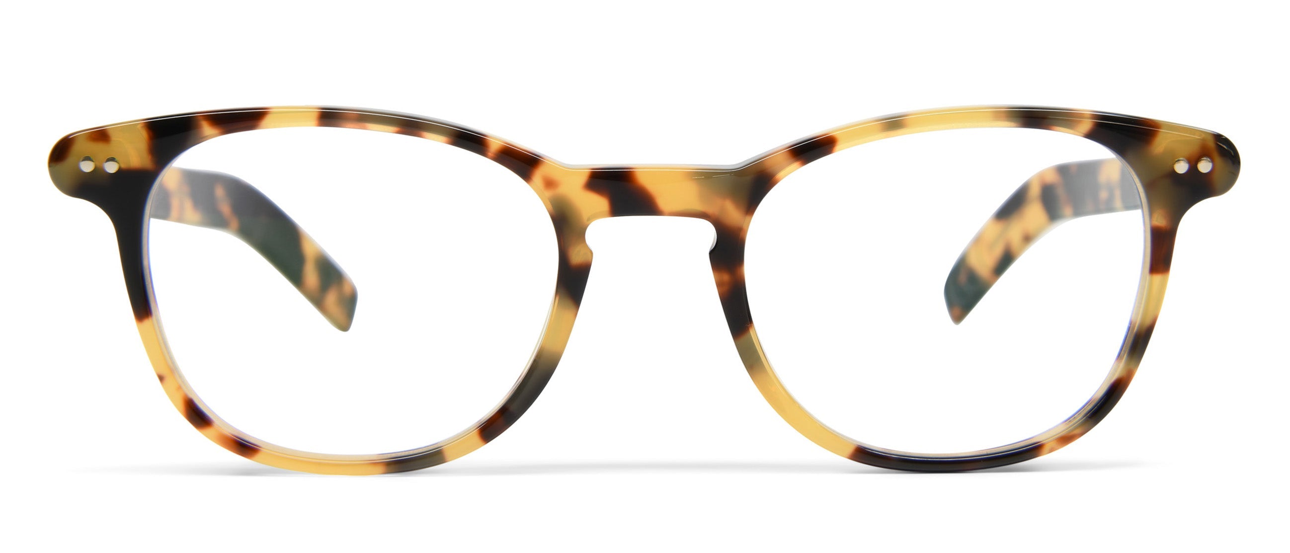 Tokyo Tortoise