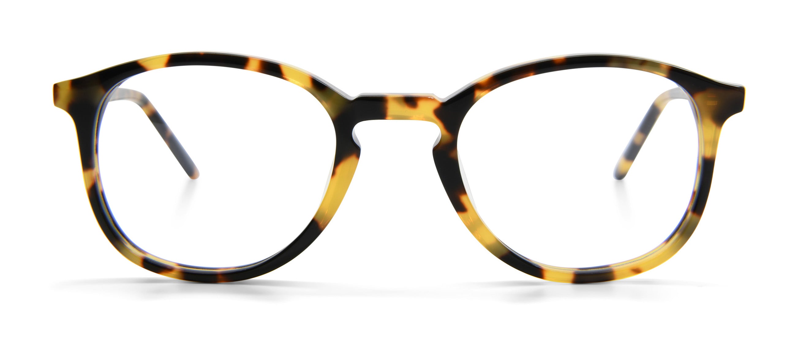 Tokyo Tortoise