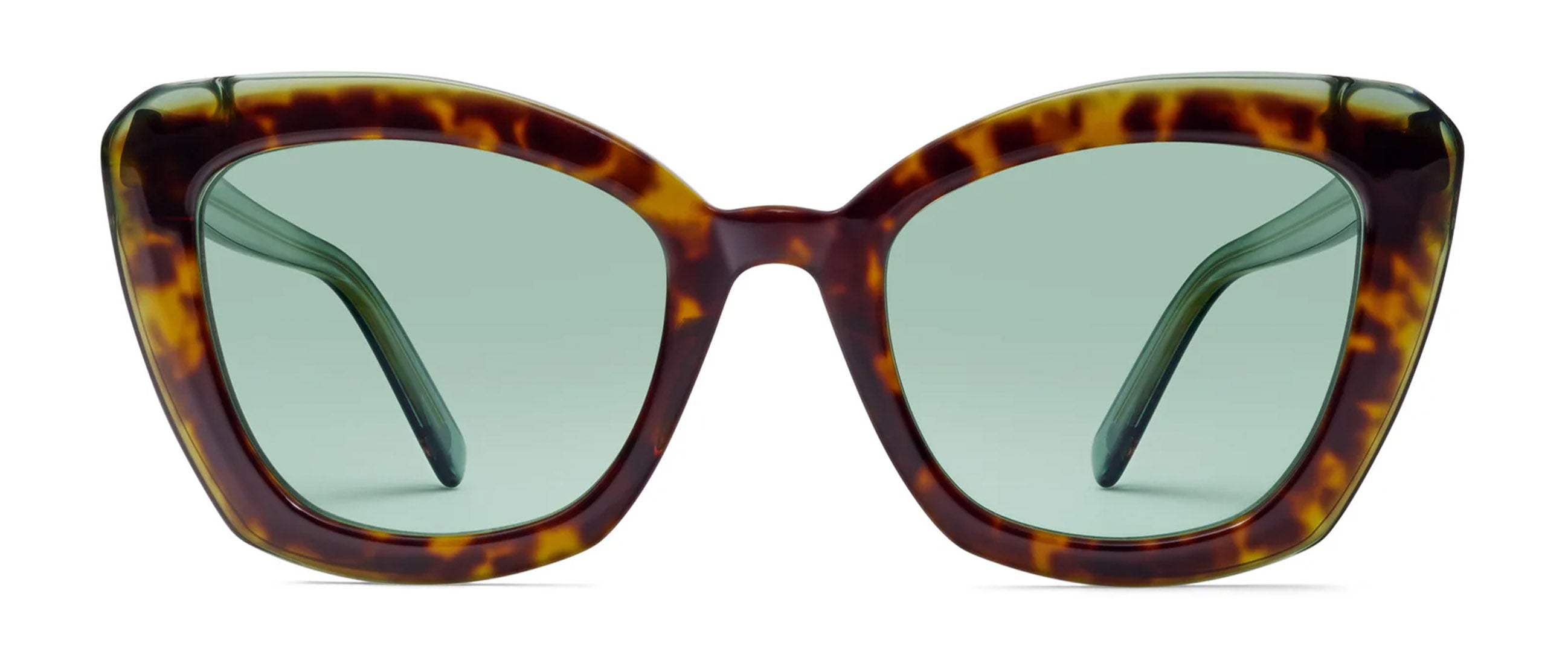 Tortoise / Green