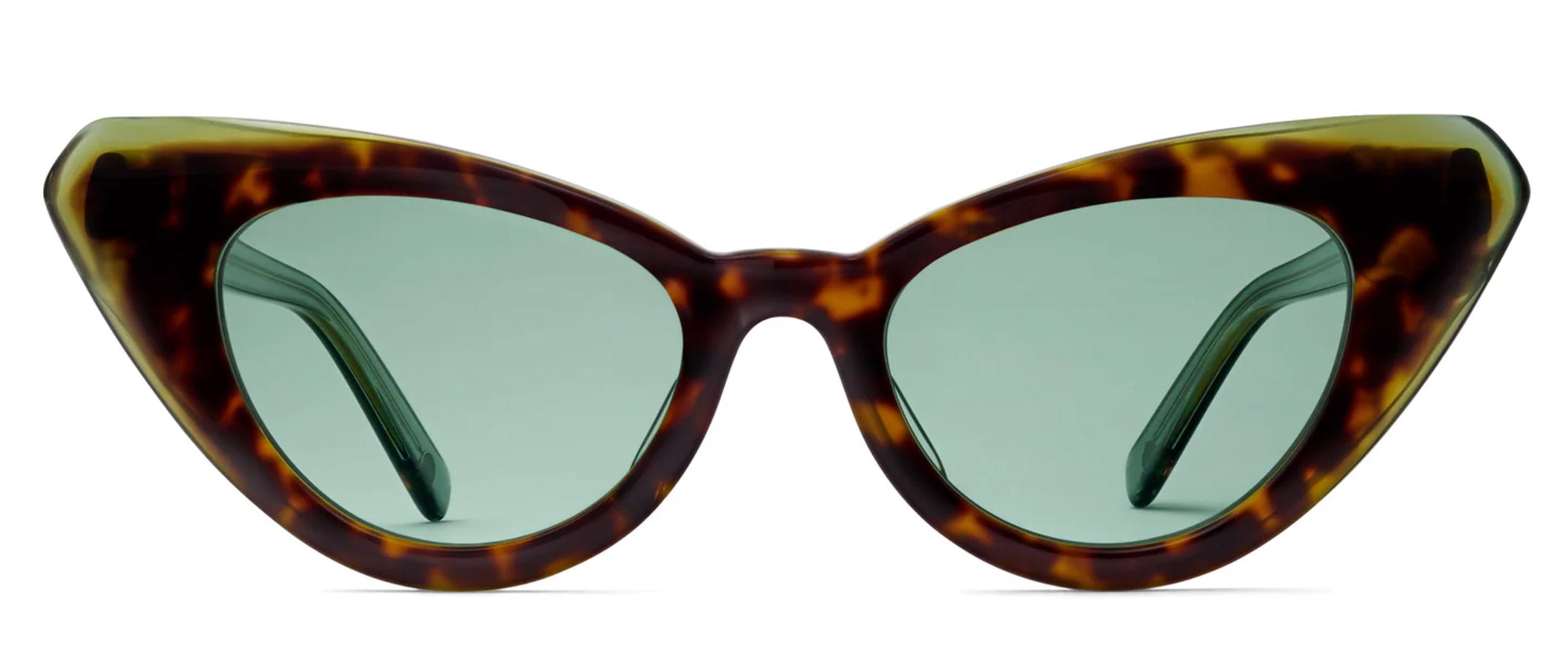 Tortoise / Green