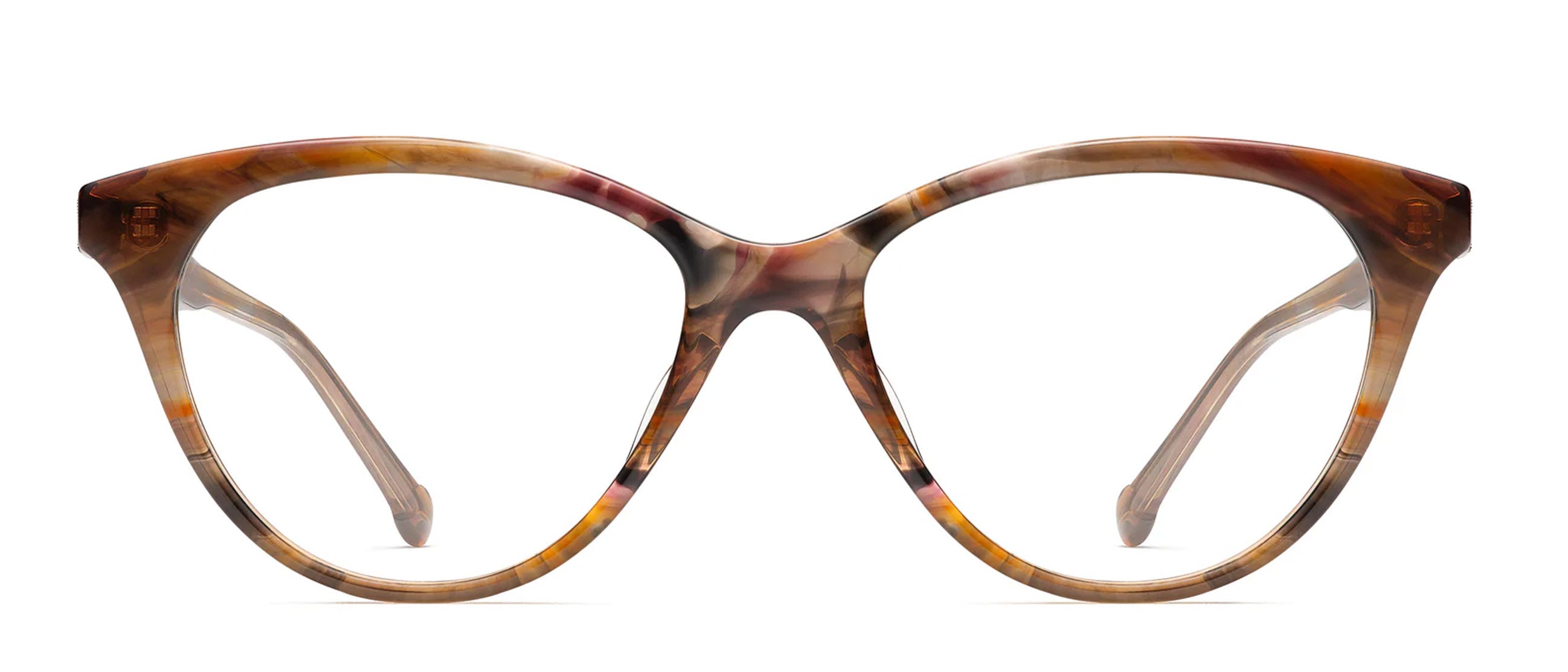 Brown Tortoise