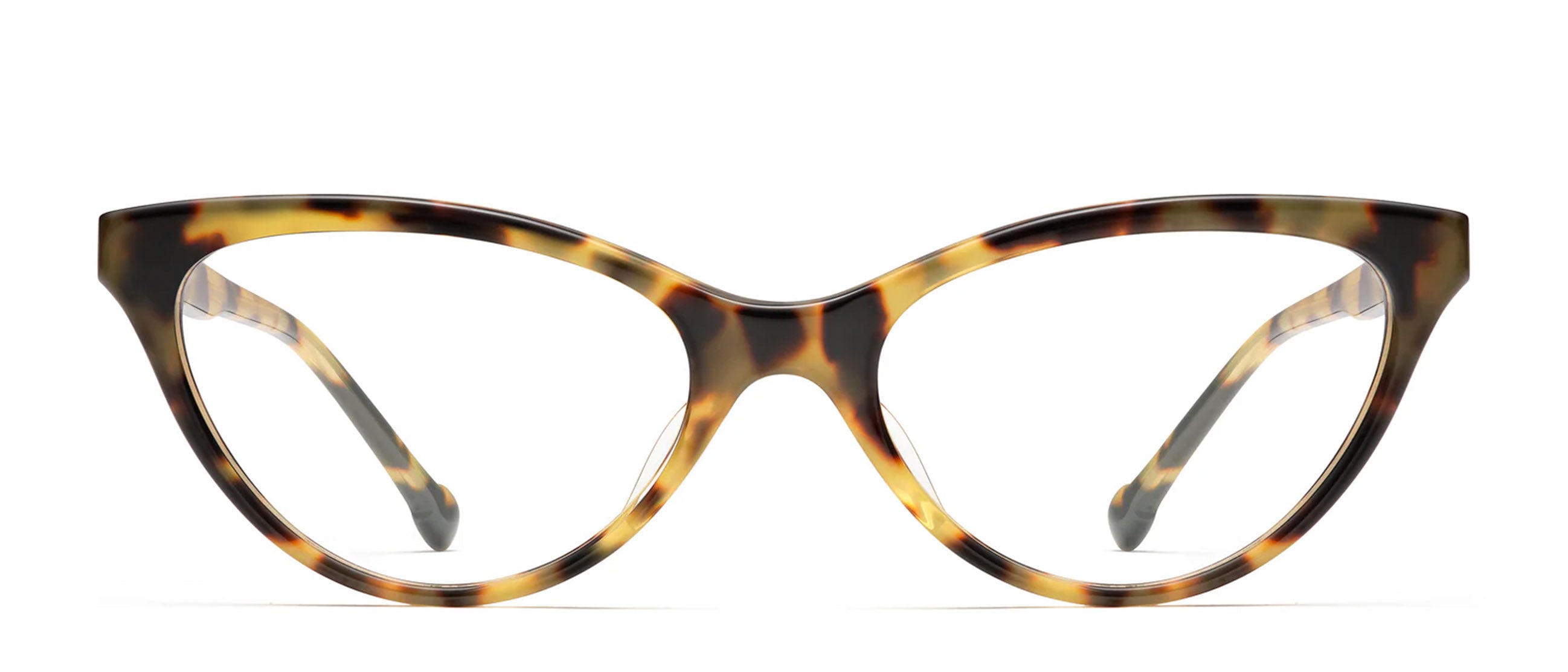 Tokyo Tortoise
