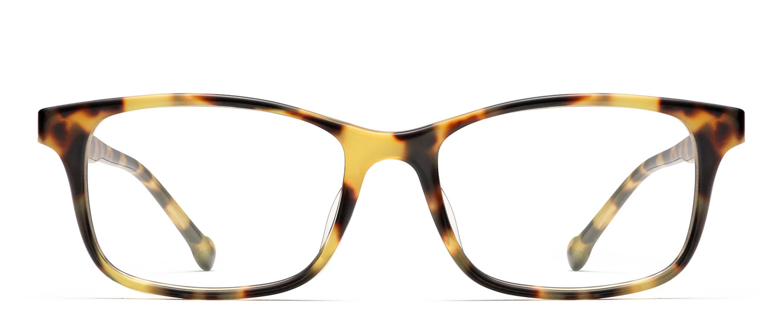 Tokyo Tortoise