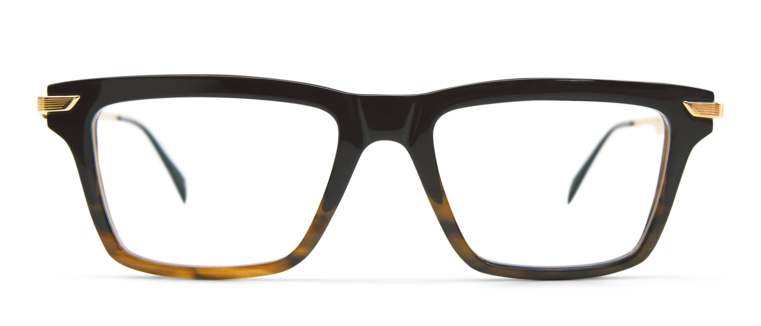 Black to Classic Tortoise Horn / Mellow Gold