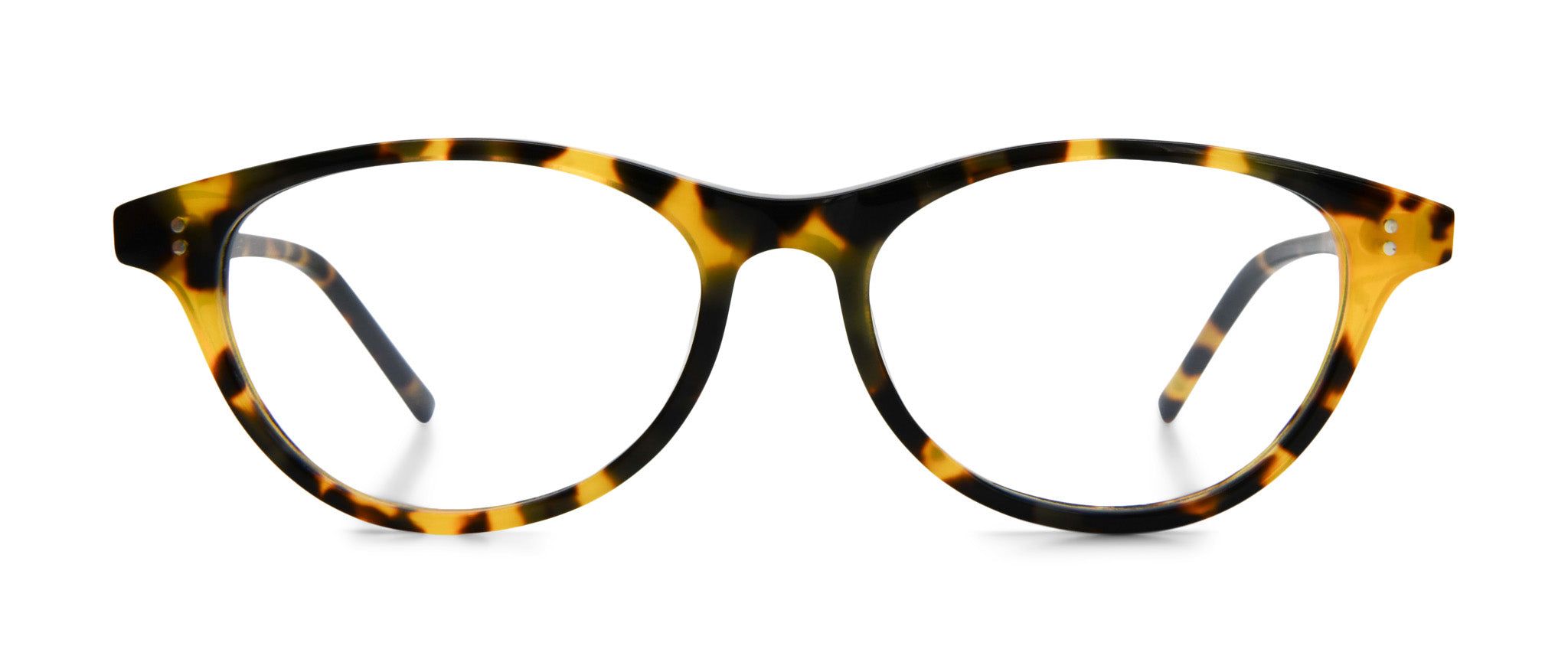 Tokyo Tortoise