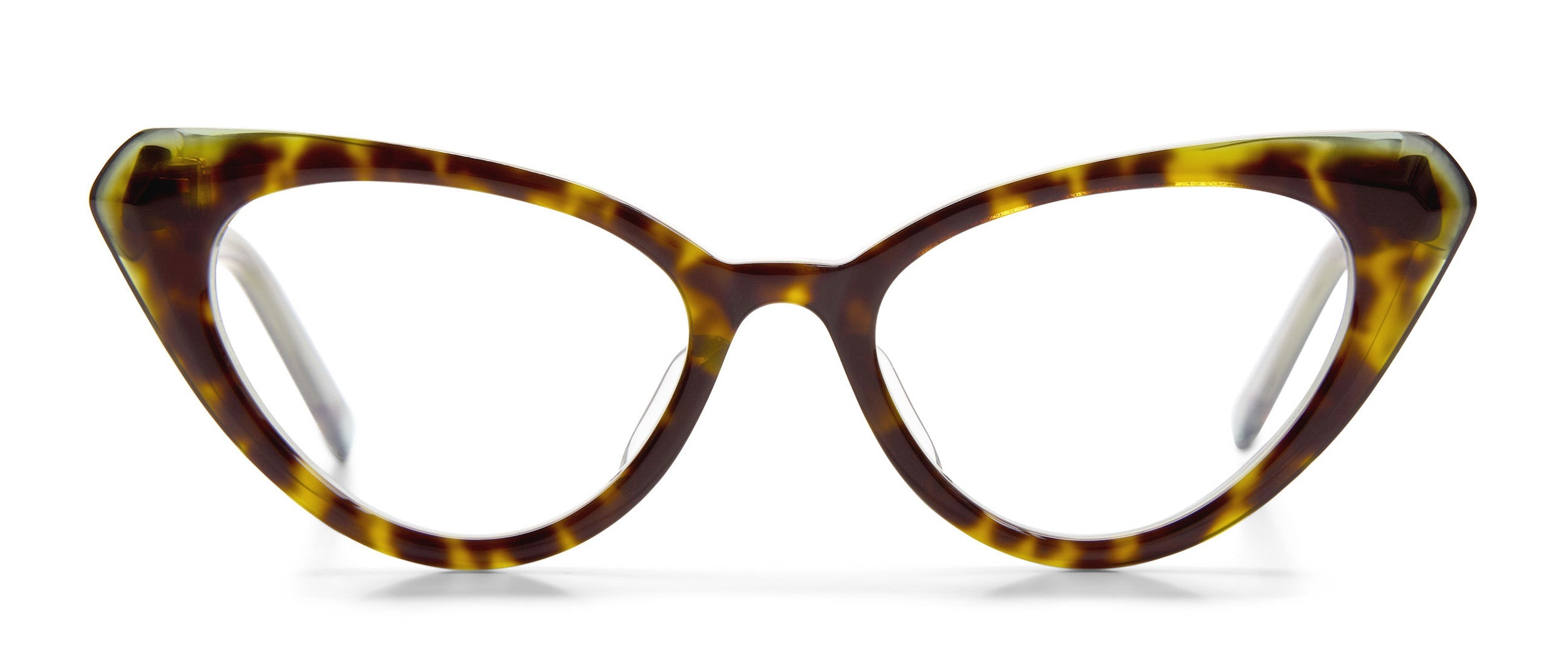 Tortoise / Green