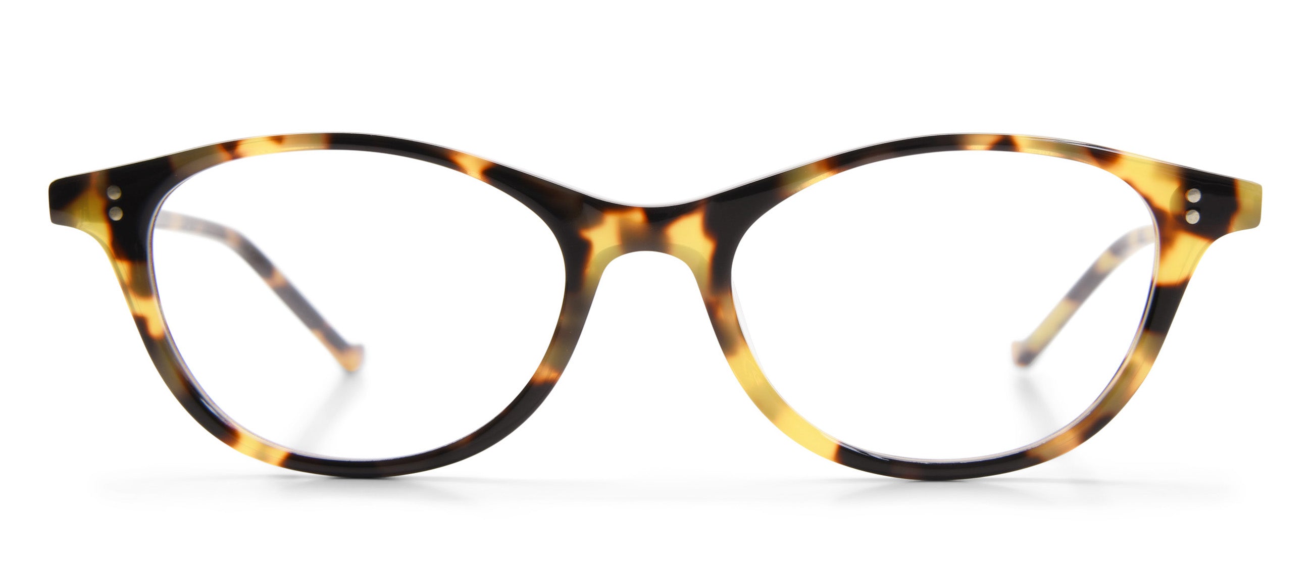 Tokyo Tortoise