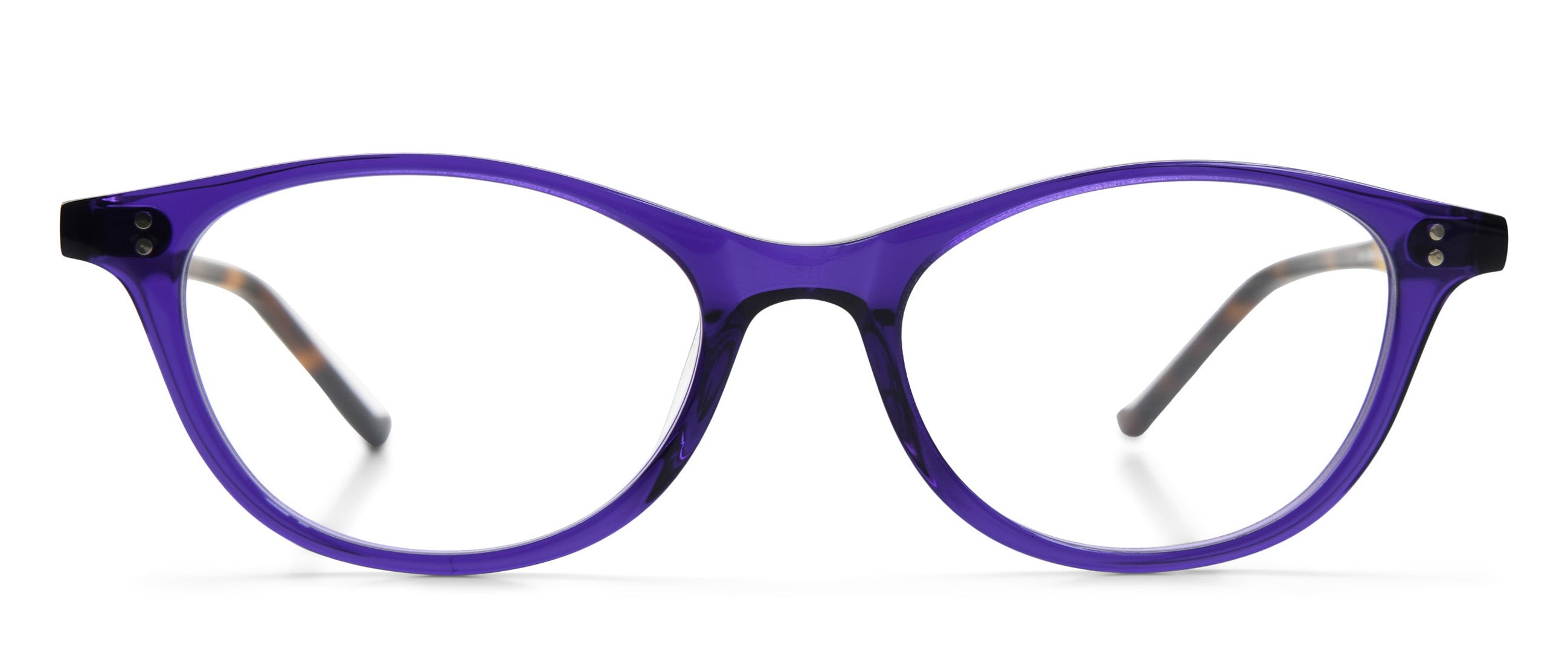 Purple / Traditional Tortoise
