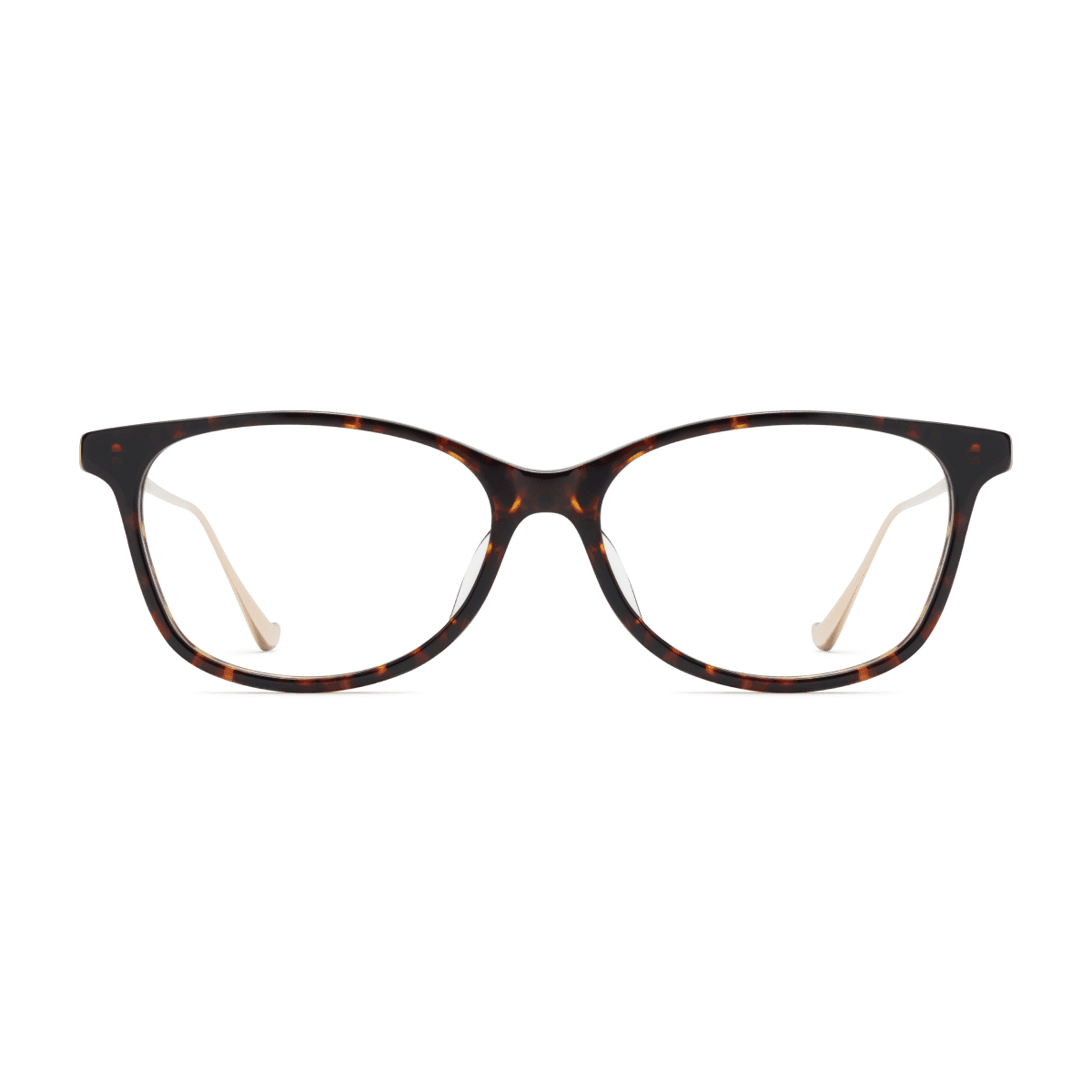 Robert Marc NYC RM 2020 Eyeglasses - 504 TORTOISE/ GOLD/, Small / Medium