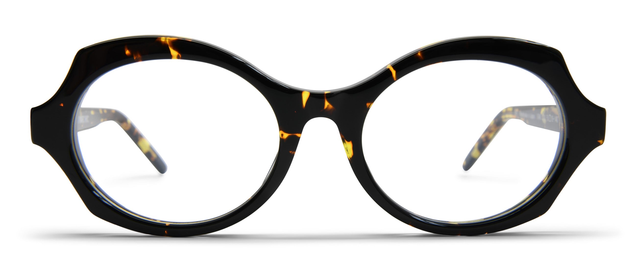 Tokyo Tortoise