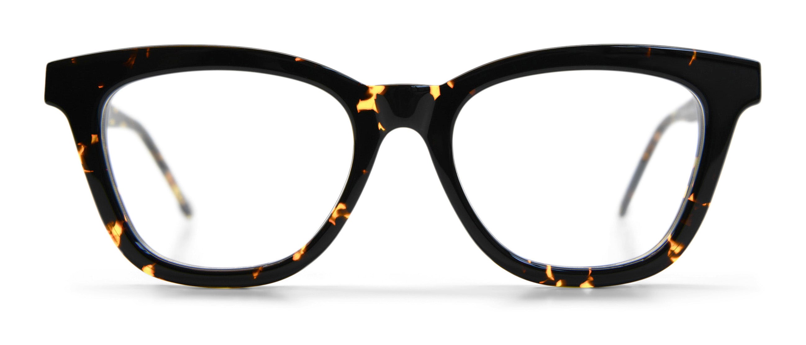 Tokyo Tortoise